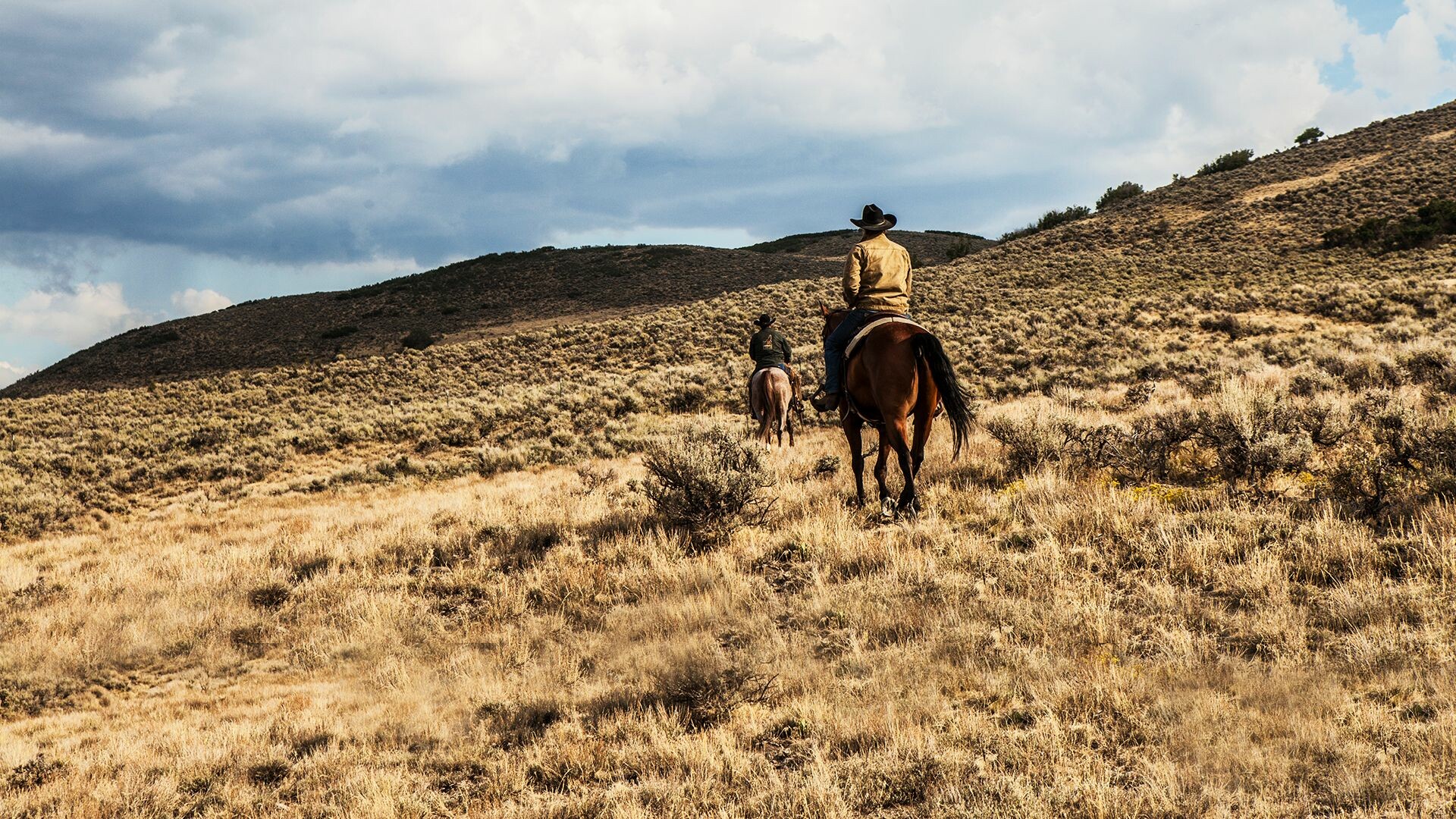 Yellowstone TV series, Lasting substance, Write to reel, Compelling storyline, 1920x1080 Full HD Desktop