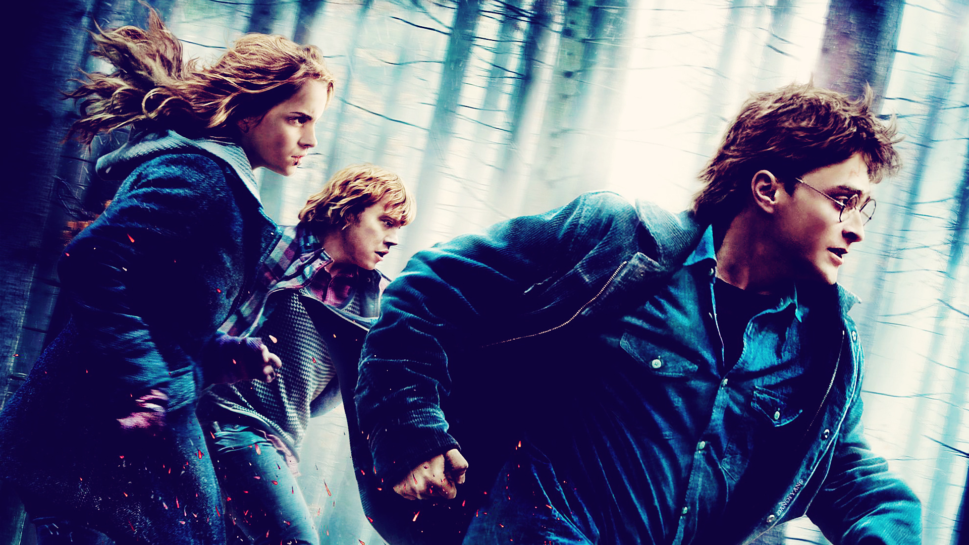 Daniel Radcliffe, Emma Watson, Harry Potter, Ron Weasley, 1920x1080 Full HD Desktop