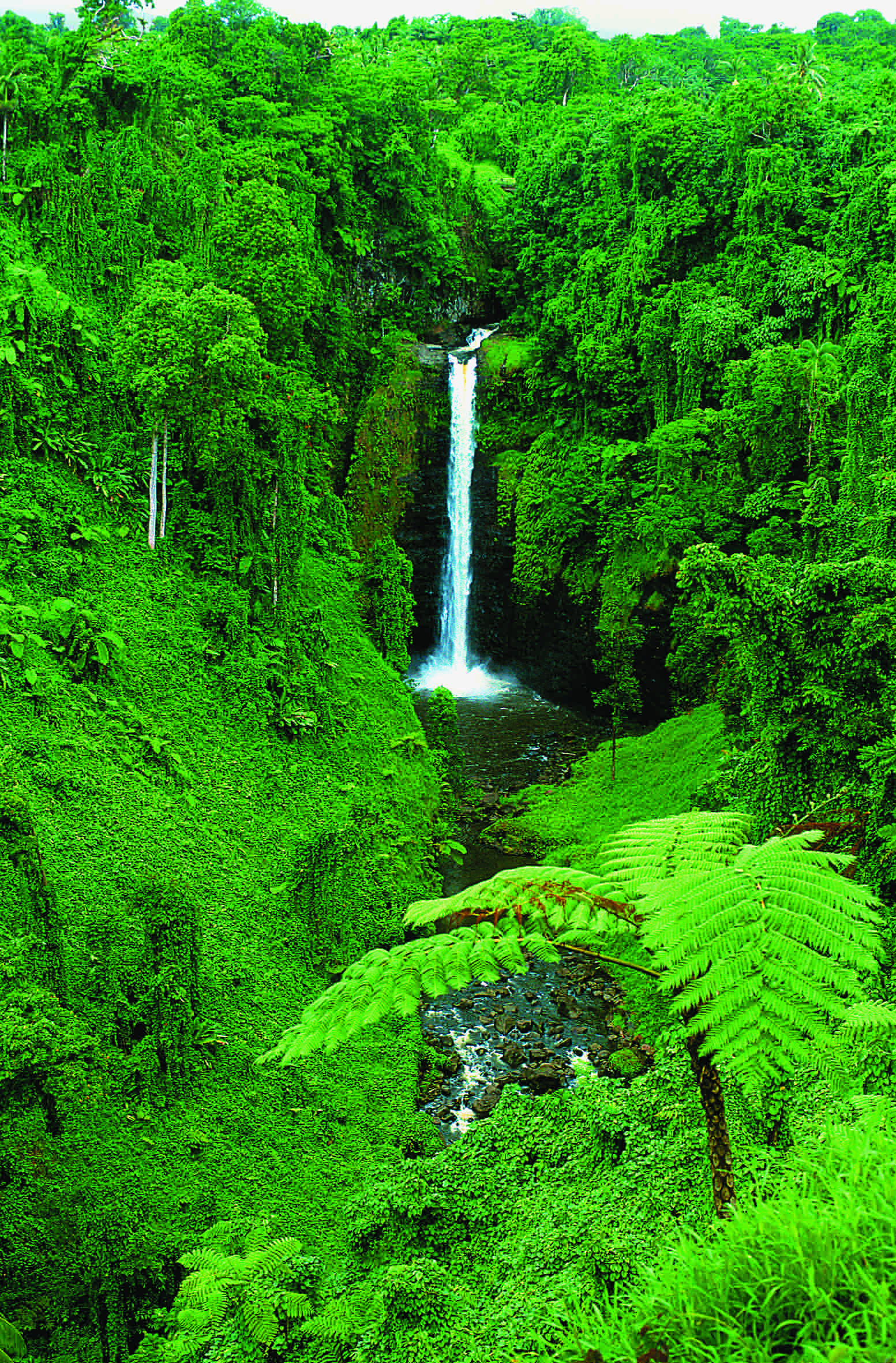 Things to do, Activities & Fun, Samoa, Taumeasina Resort, 1560x2370 HD Phone