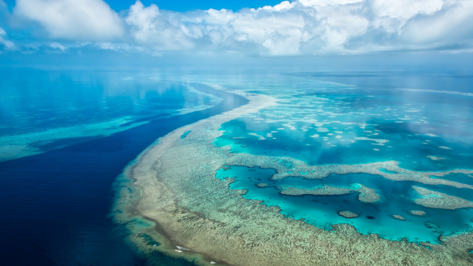 Great Barrier Reef, Underwater paradise, Coral wonders, Marine marvel, 1920x1080 Full HD Desktop