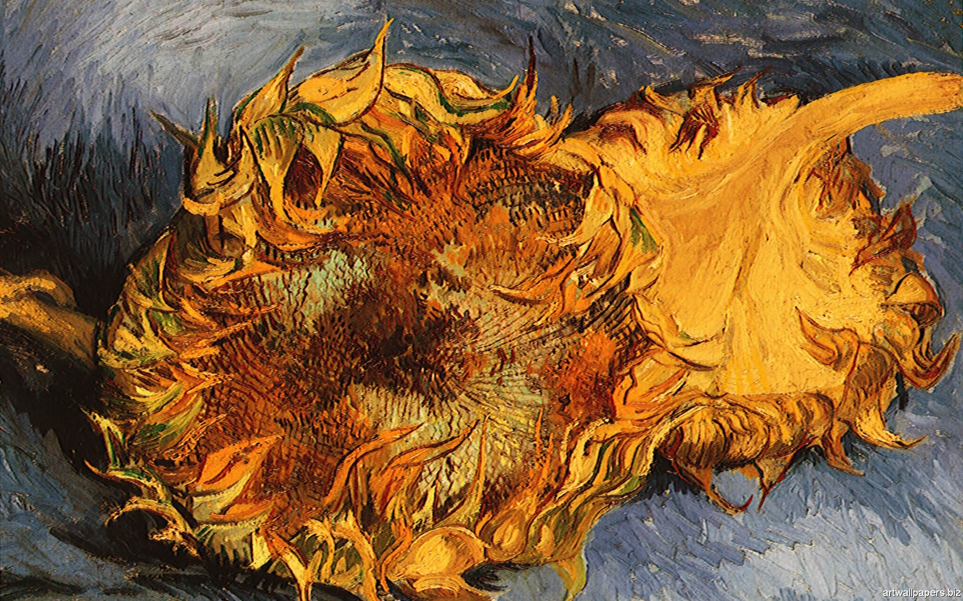 Vincent van Gogh wallpapers, HD quality, Widescreen images, Captivating scenes, 1920x1200 HD Desktop