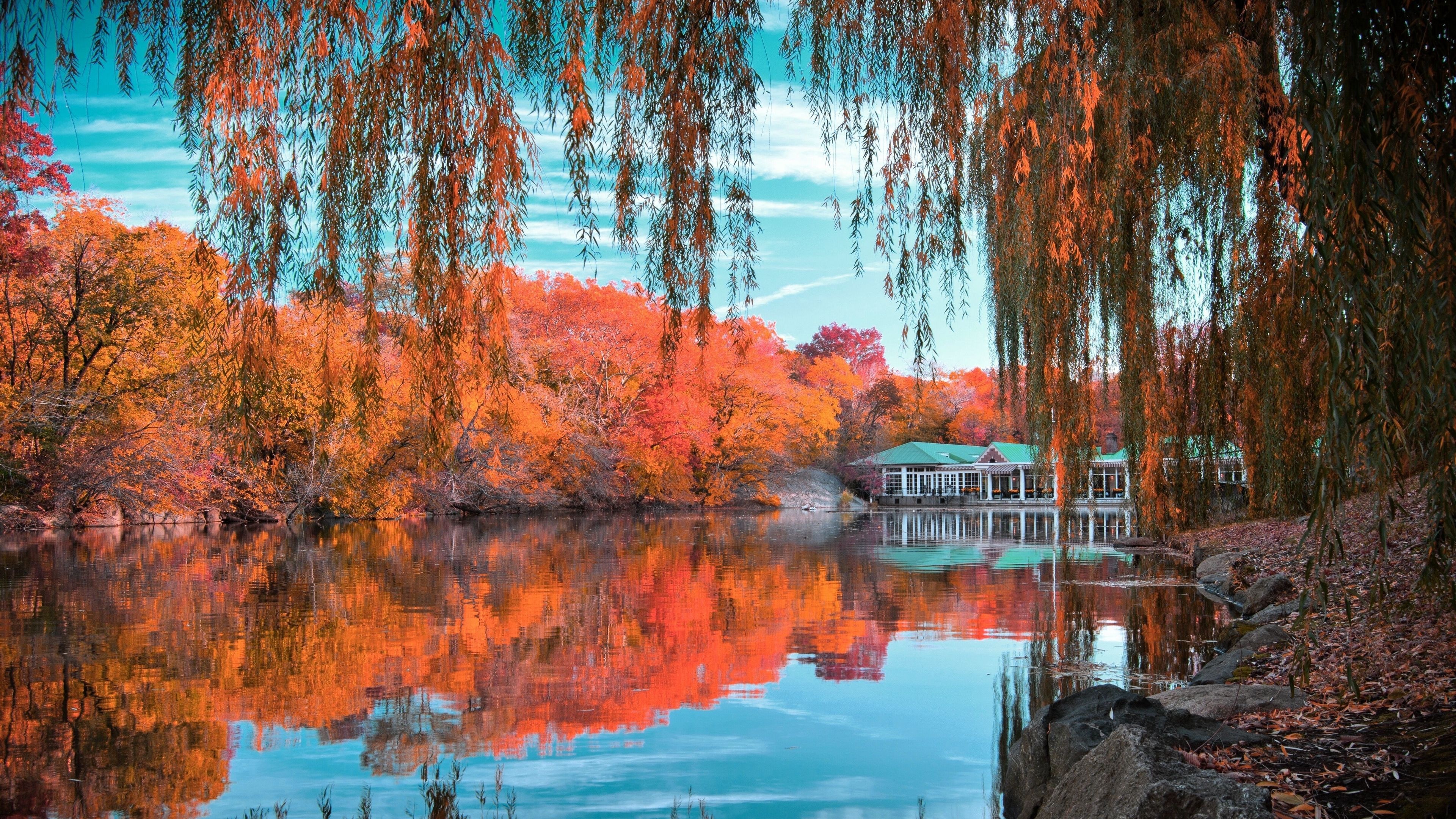 Central Park NY, Fall Wallpaper, 3840x2160 4K Desktop