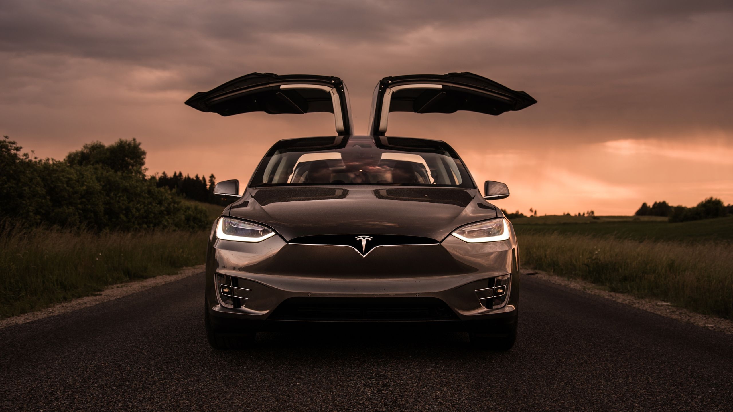 Front View, Tesla Model X Wallpaper, 2560x1440 HD Desktop