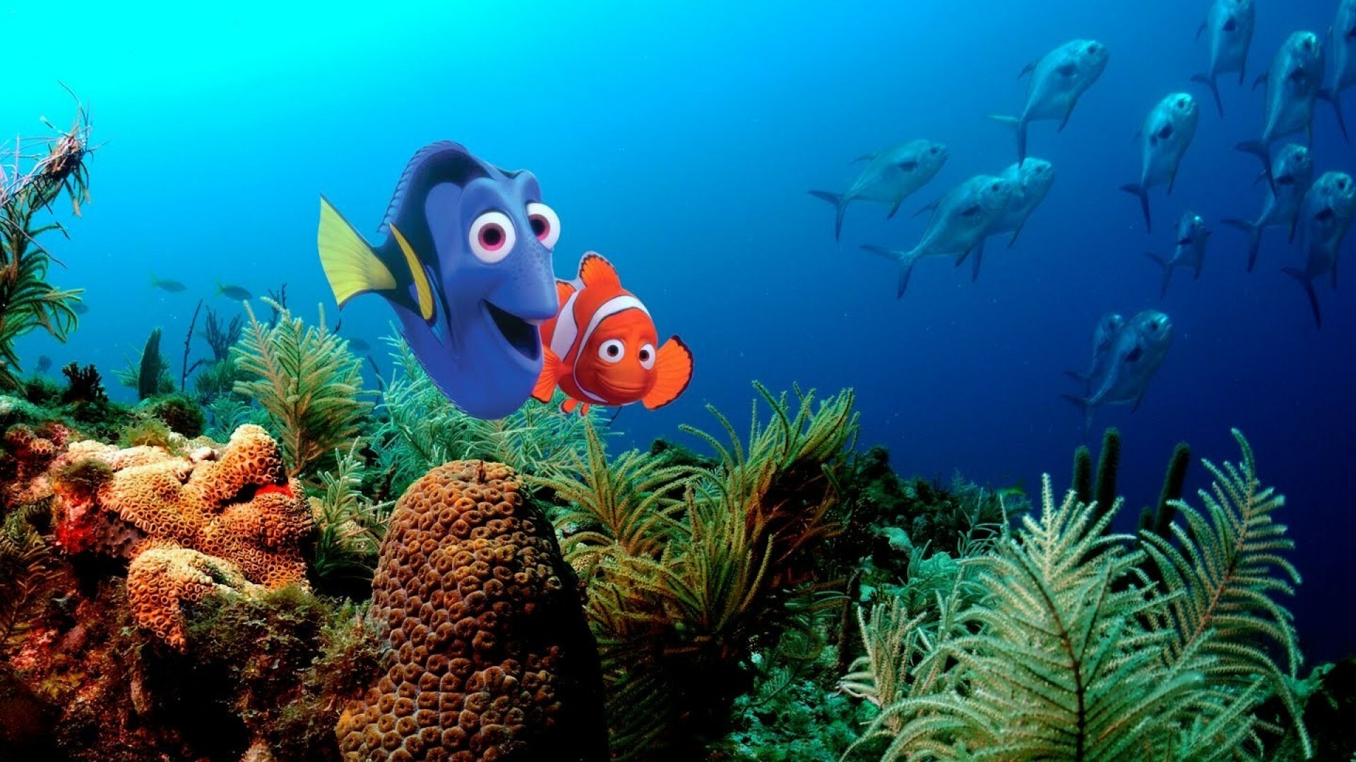 Finding Nemo, Wallpapers, Gamepressure, 1920x1080 Full HD Desktop