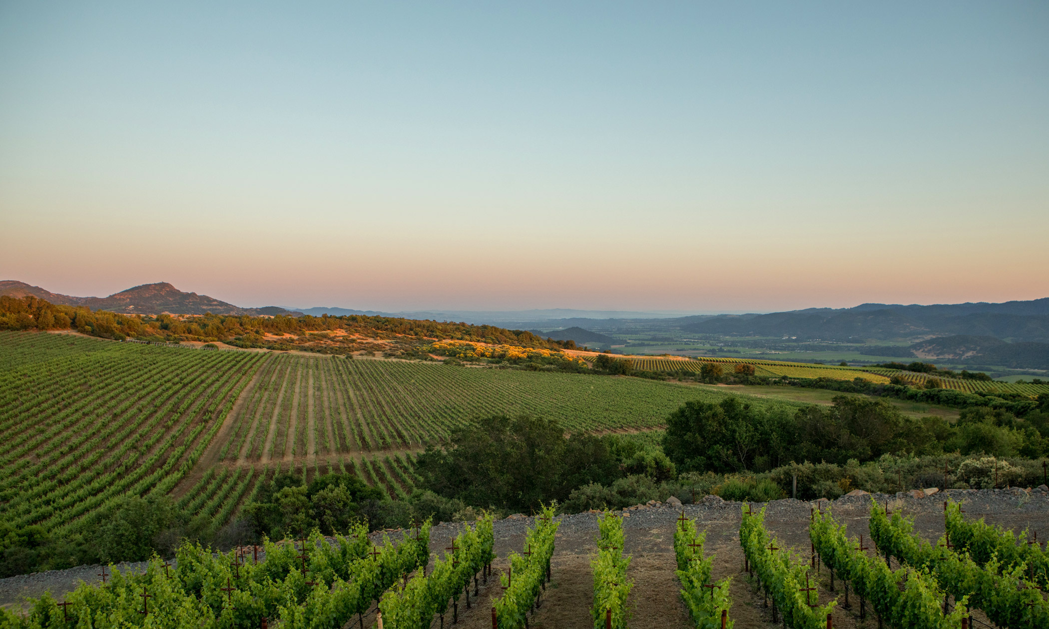 Napa Valley cellar, Wine collection, Wine enthusiasts, Wine tourism, 2100x1260 HD Desktop