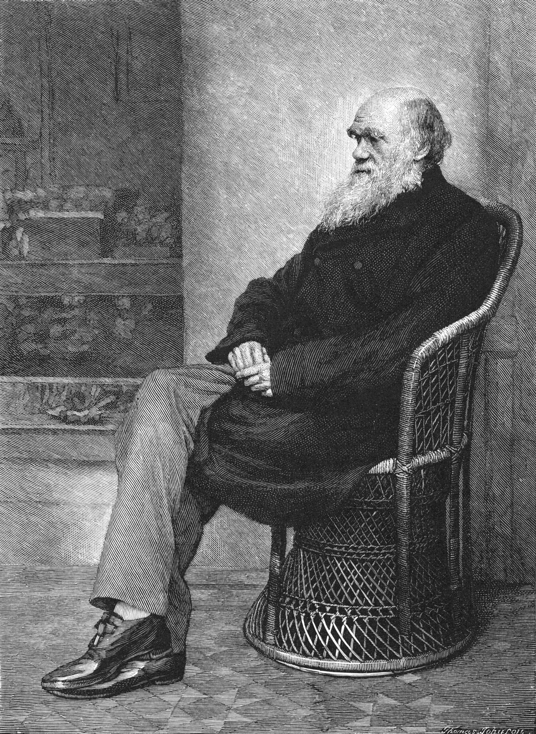 Charles Darwin, Book review, Biography, The New Yorker, 1880x2560 HD Phone