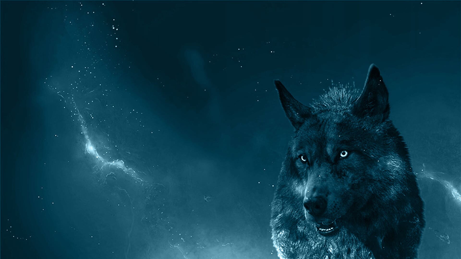 Wolf portrait, Expressive eyes, Strong presence, Mysterious aura, 1920x1080 Full HD Desktop