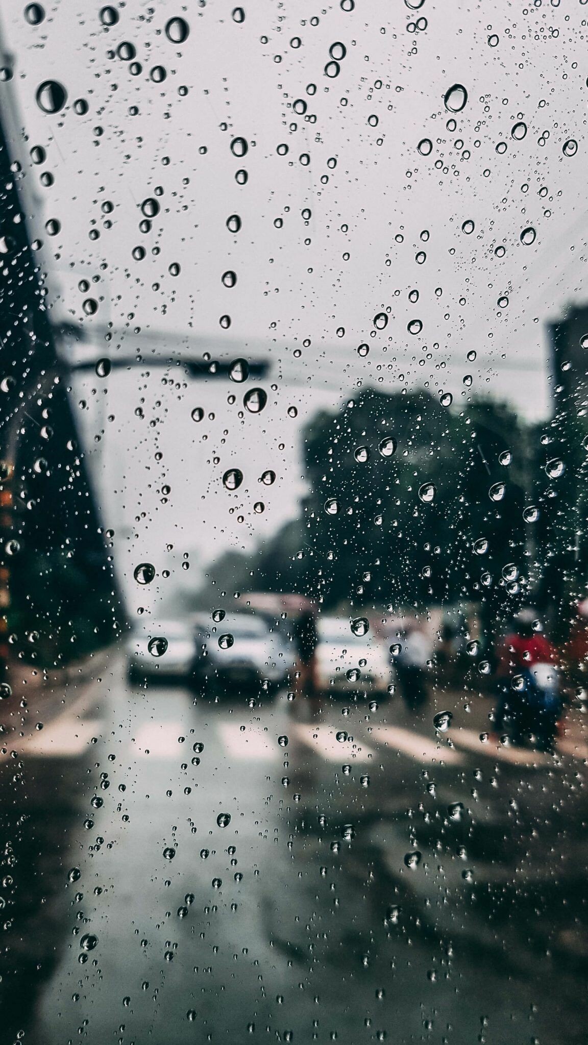 Scenic downpour, Rainy landscapes, Photographic rain wallpapers, Nature's tears captured, 1160x2050 HD Phone