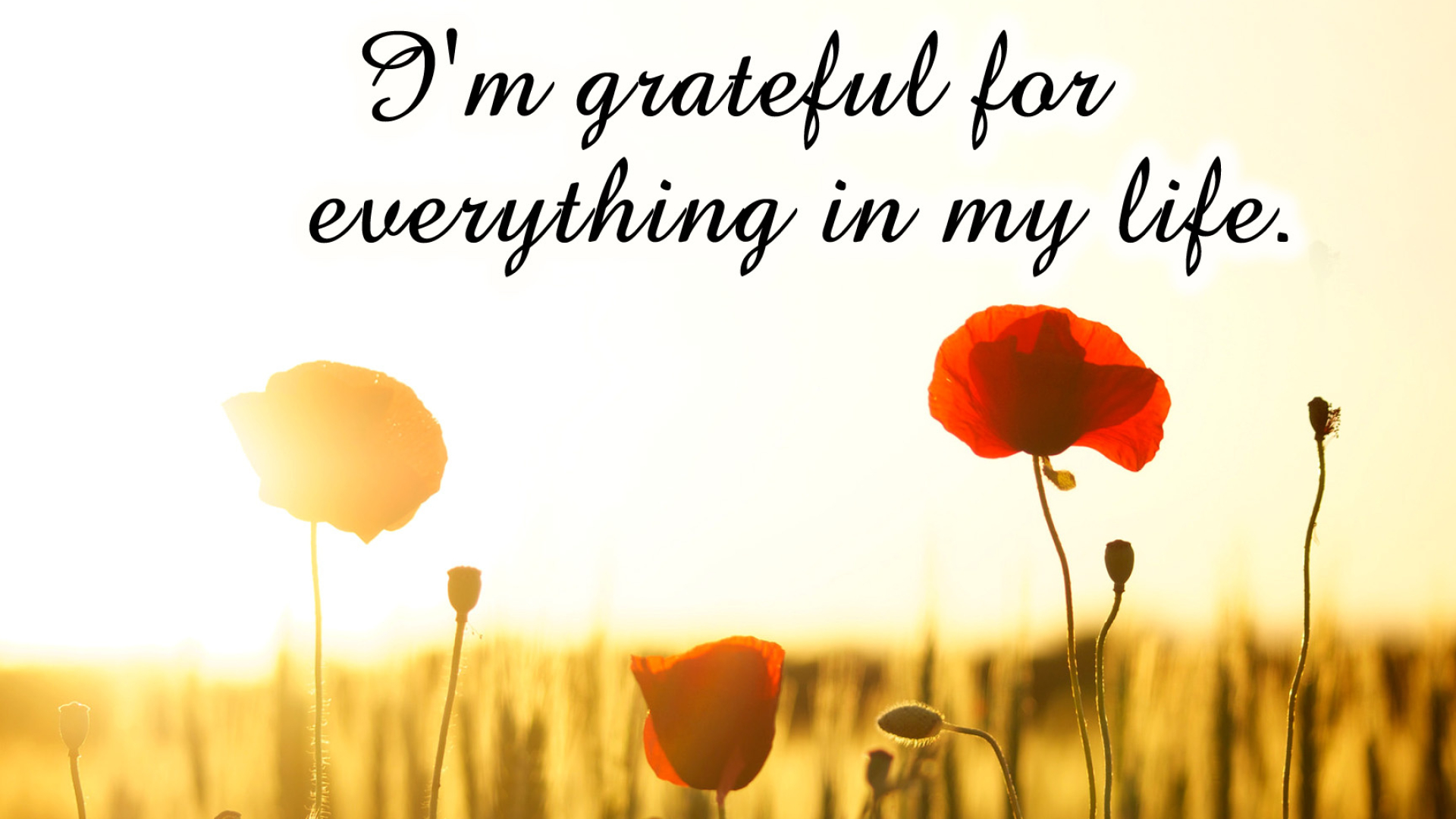 Affirmation, Gratitude Wallpaper, 1920x1080 Full HD Desktop