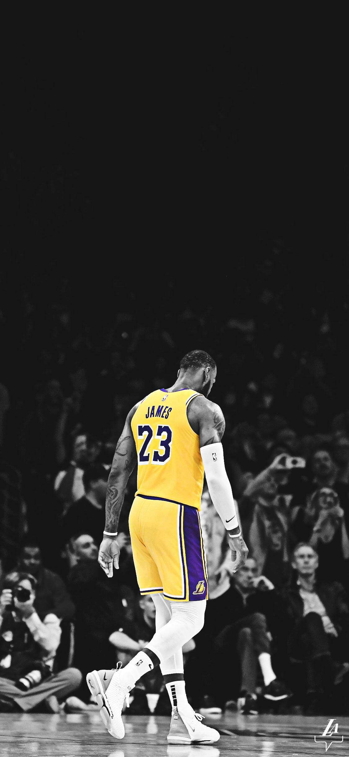 LeBron James, Celebs, Lakers wallpapers, infographics, 1130x2440 HD Phone