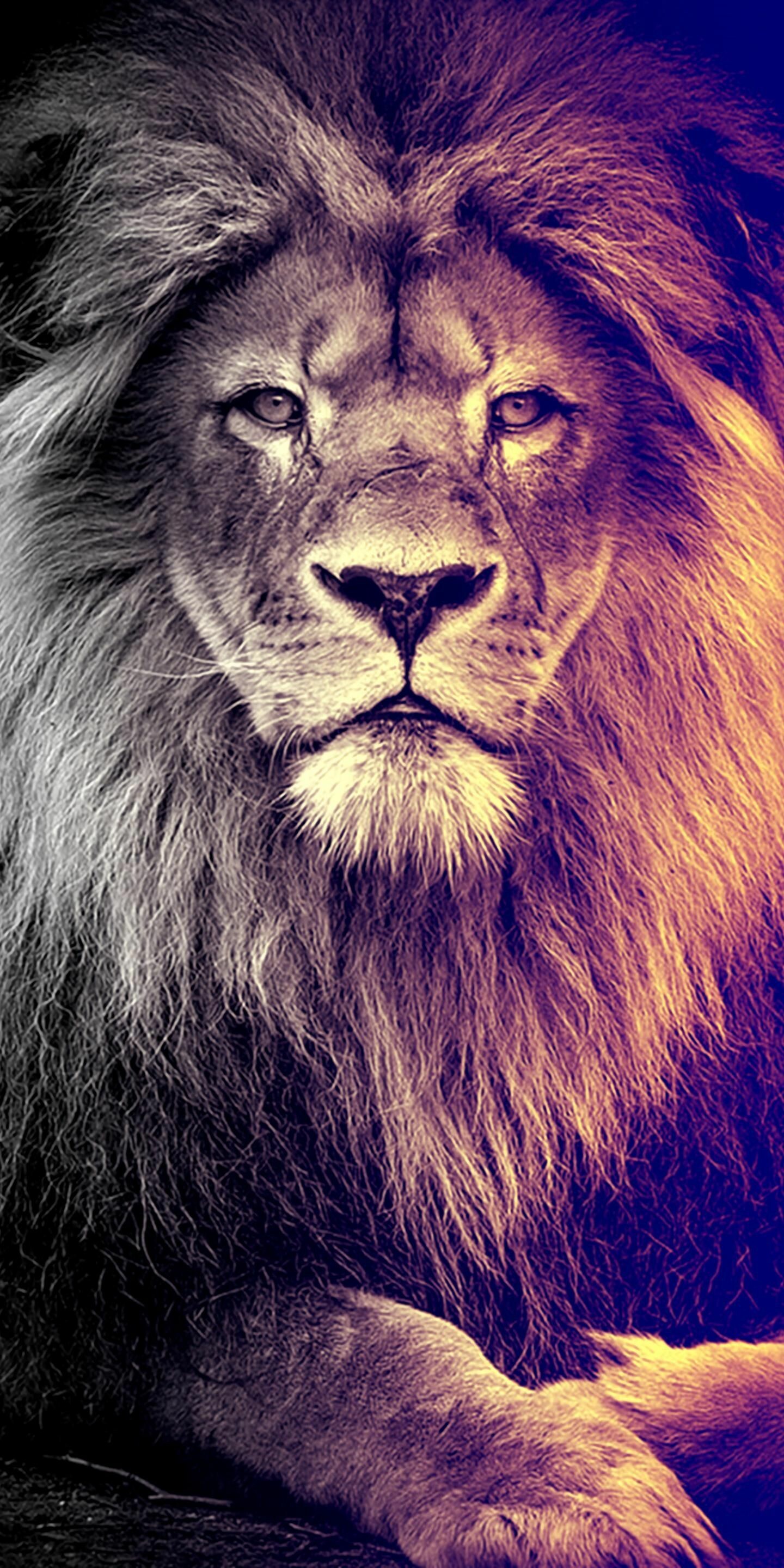 Dope lion wallpapers, Artistic expression, Hip-hop inspiration, Urban style, 1440x2880 HD Phone