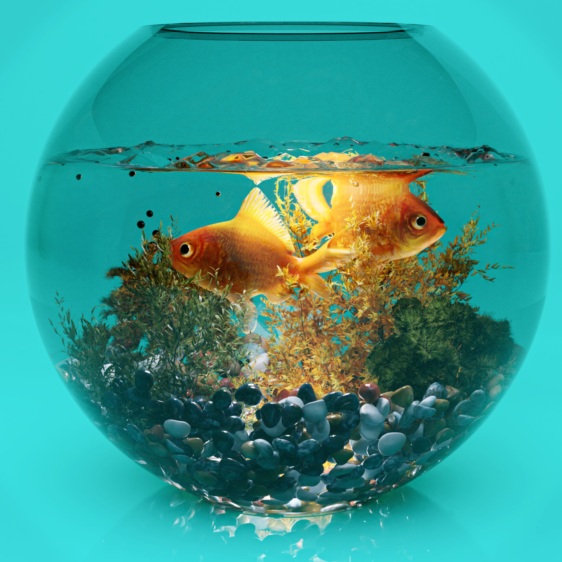 Artstation fish bowl, Creative artwork, Imaginative design, Visual delight, 1920x1920 HD Phone