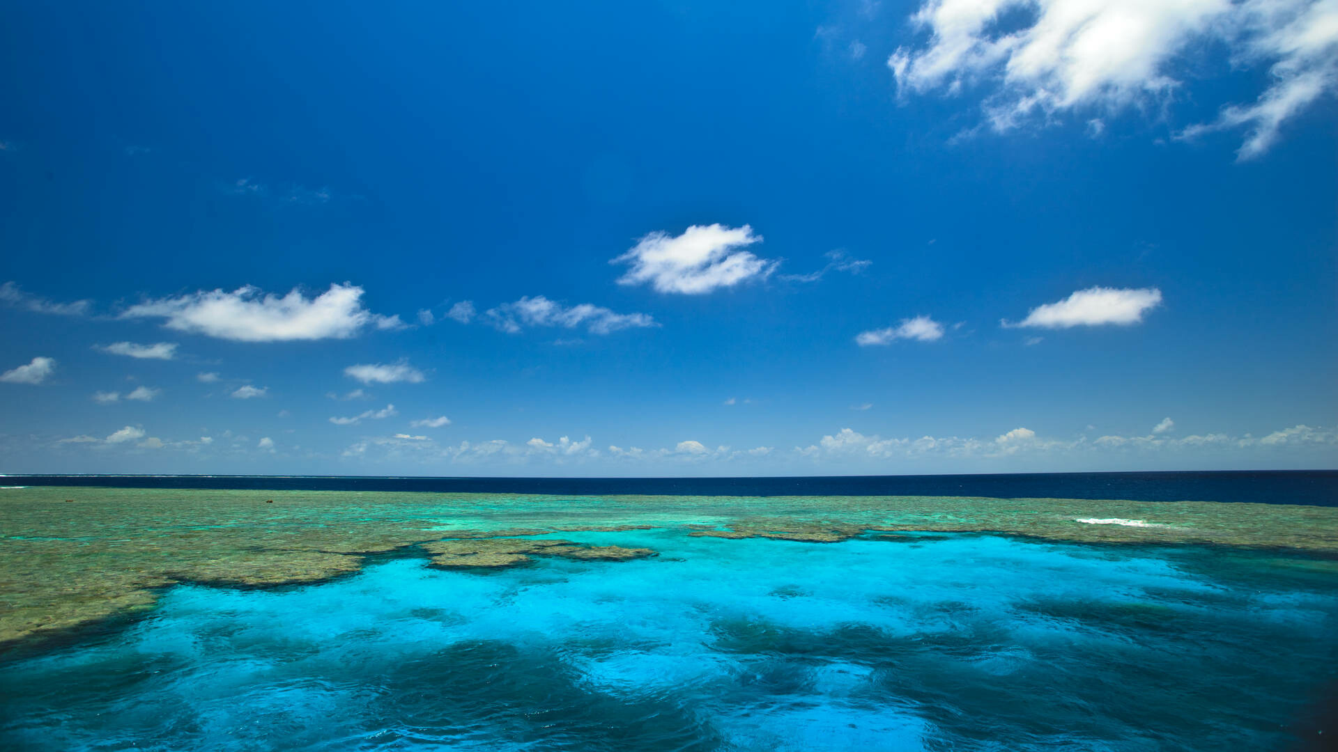 Queensland rundreise, Australiens great, Tropical Drive, 1920x1080 Full HD Desktop