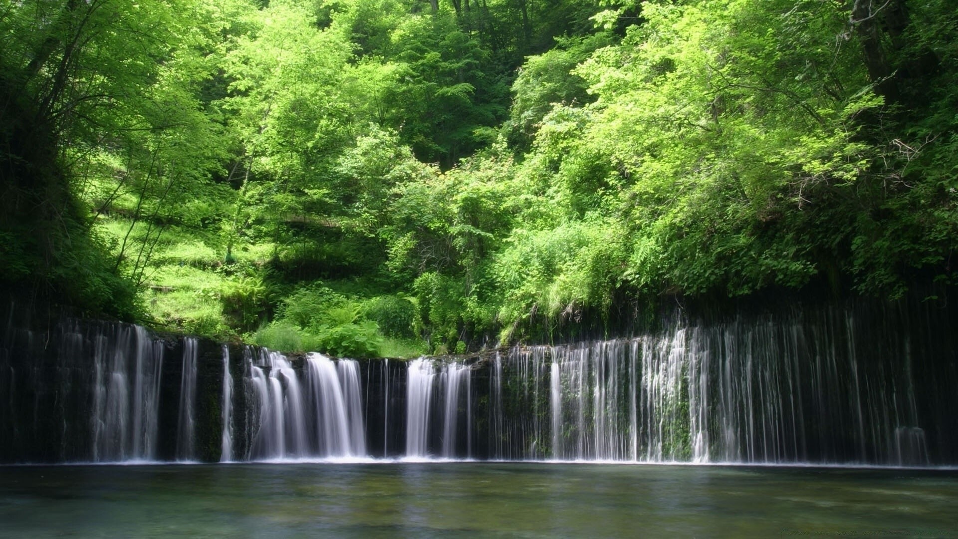 Enchanting waterfall, Forest wonders, Tranquil oasis, Nature's beauty, 1920x1080 Full HD Desktop