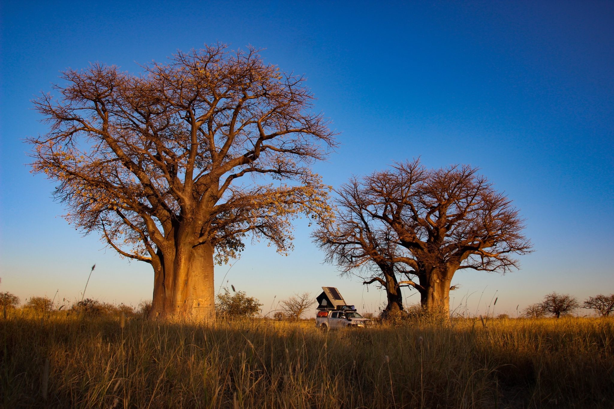 Self-drive Botswana, 4x4 adventure, Safari holidays, Unforgettable experience, 2050x1370 HD Desktop