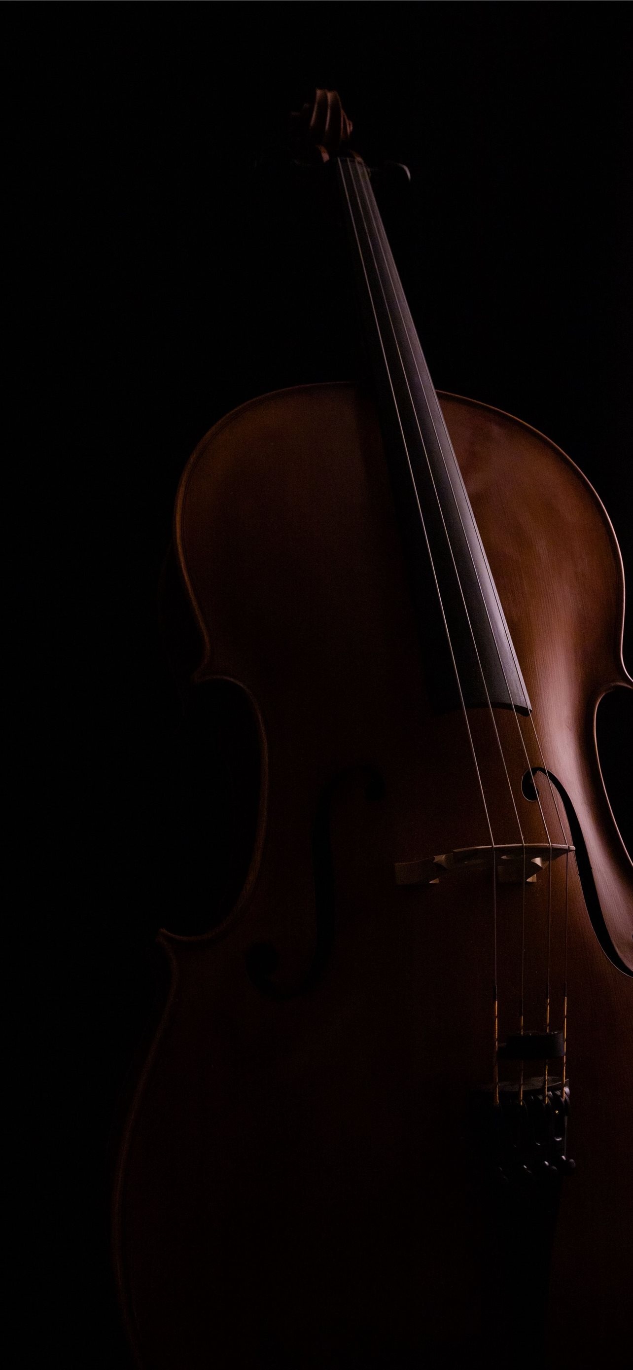 Double bass wallpapers, Musical themes, Desktop backgrounds, Visual music, 1290x2780 HD Phone