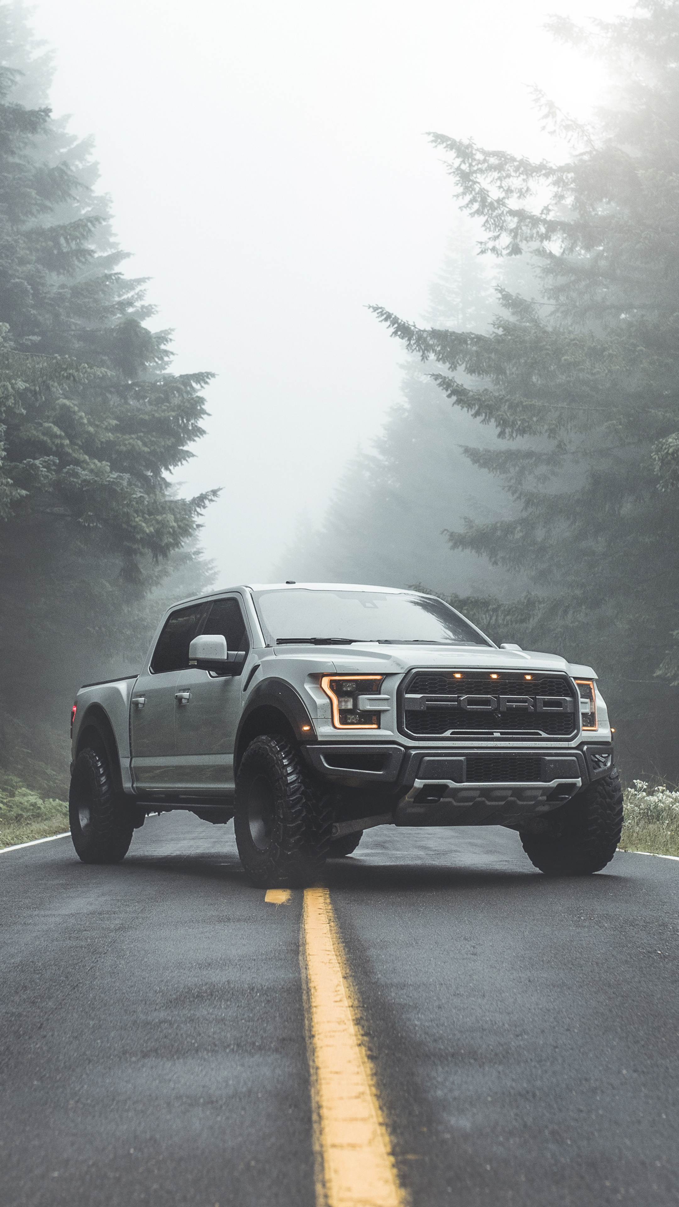 F-150 Pickup, Ford Truck Wallpaper, 2160x3840 4K Phone