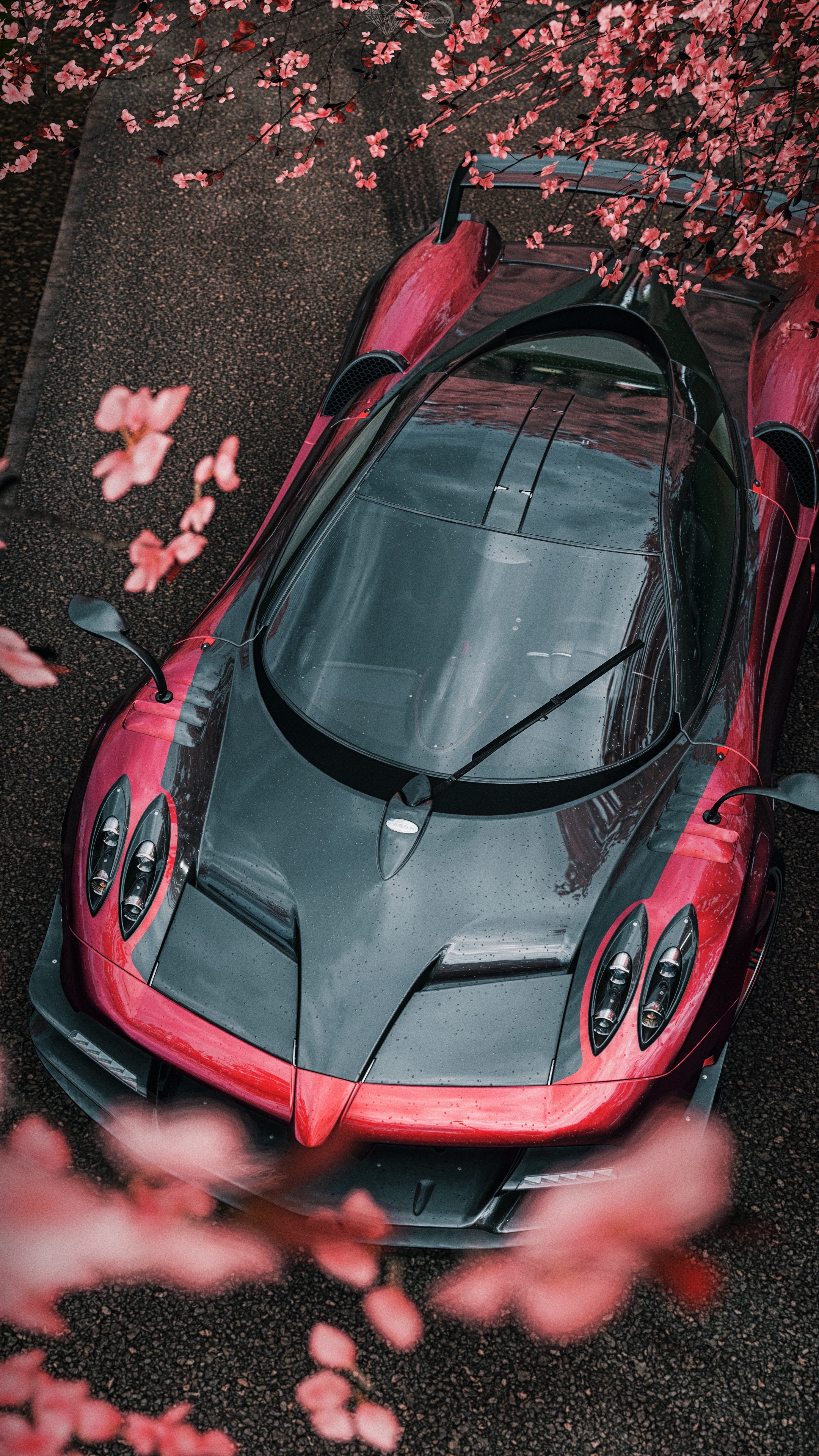 Pagani Huayra, Cool Cars Wallpaper, 2160x3840 4K Phone