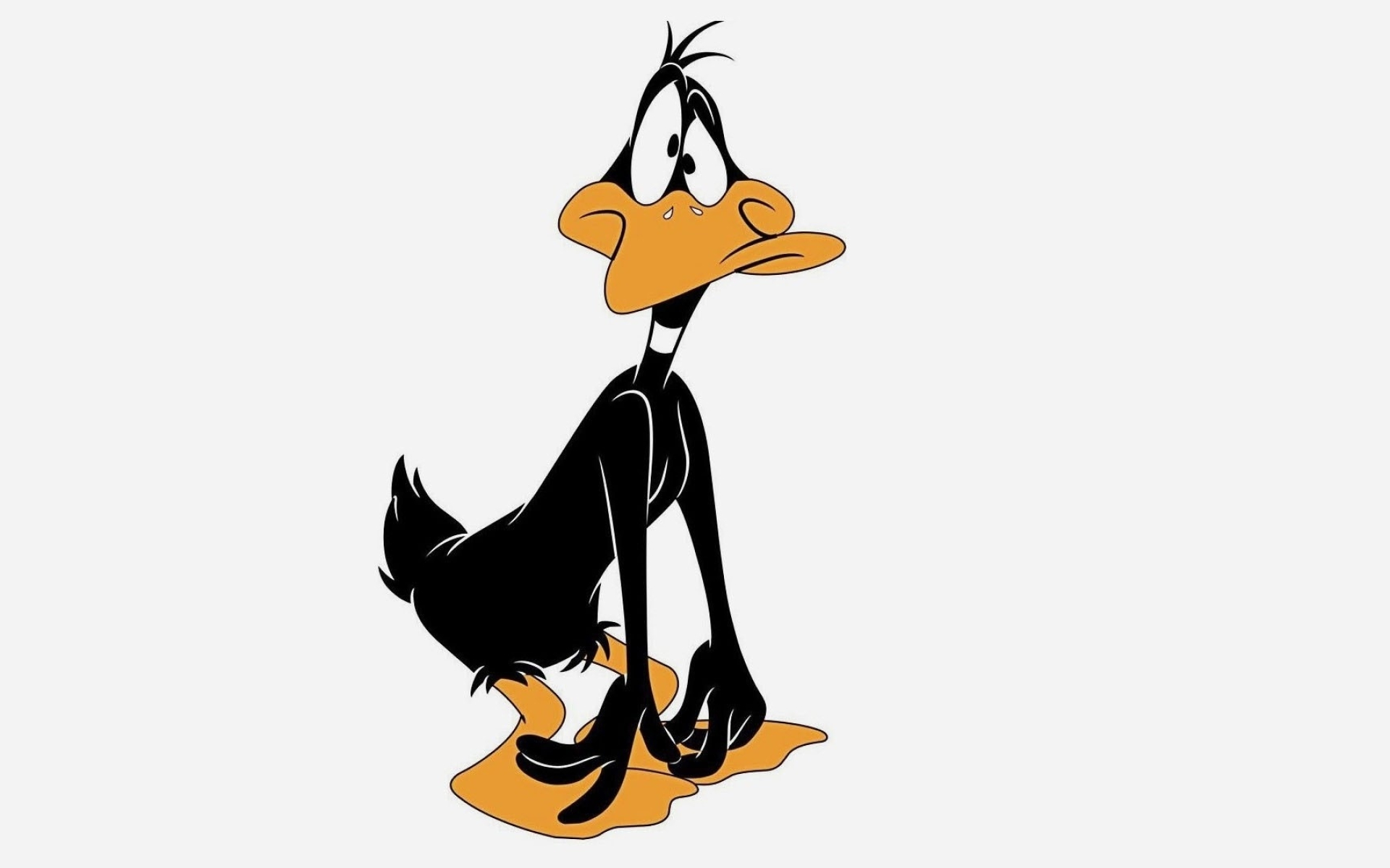 Sad and surprised, Daffy Duck, Wallpaper, Cartoon wallpapers, 1920x1200 HD Desktop