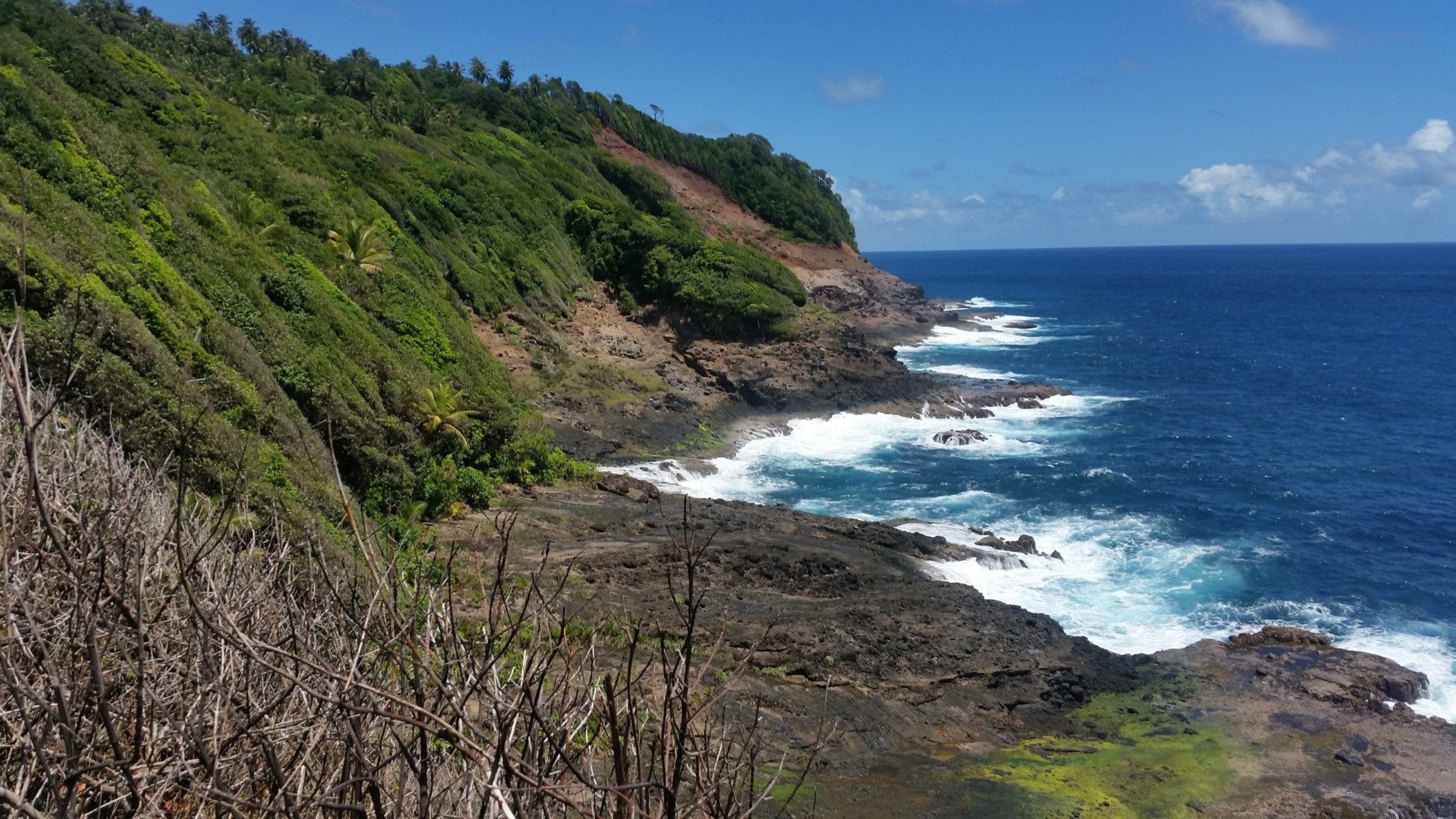 Dominica accommodation, Elegant suites, Caribbean comfort, Memorable stay, 2560x1440 HD Desktop