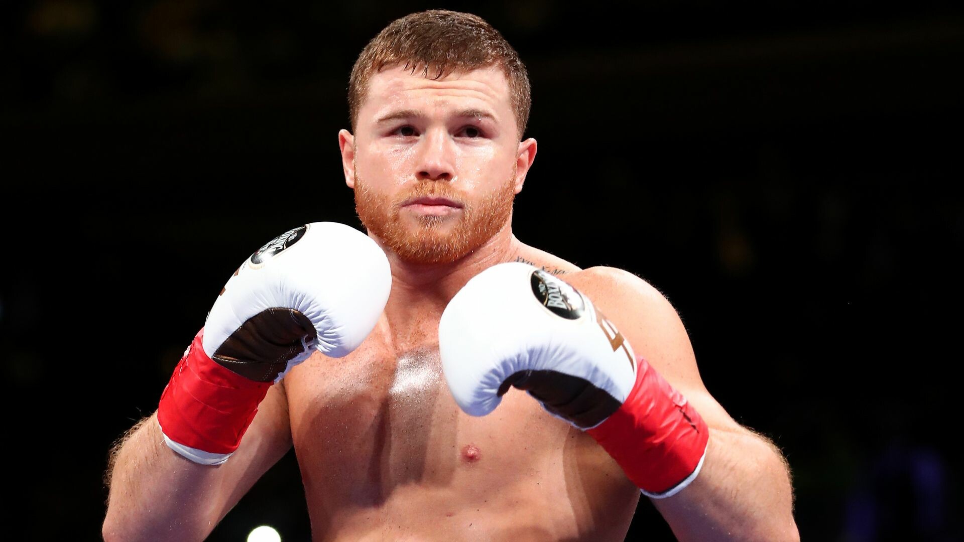 Saul Alvarez wallpapers, Top celeb backgrounds, 1920x1080 Full HD Desktop