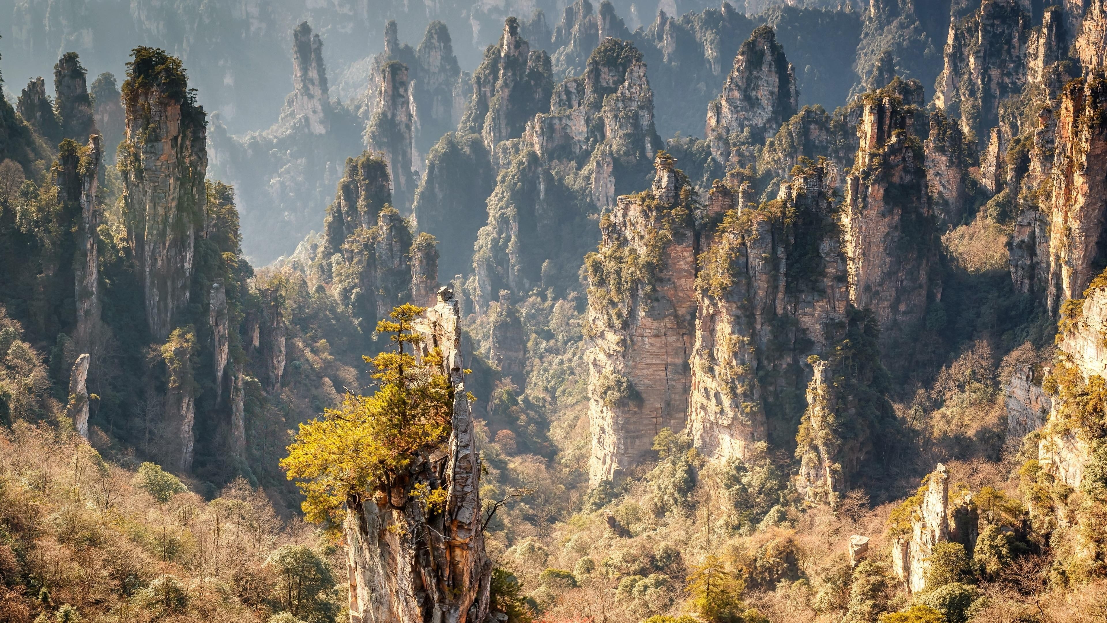 Zhangjiajie, Movie location, Stone forest, National forest, 3840x2160 4K Desktop