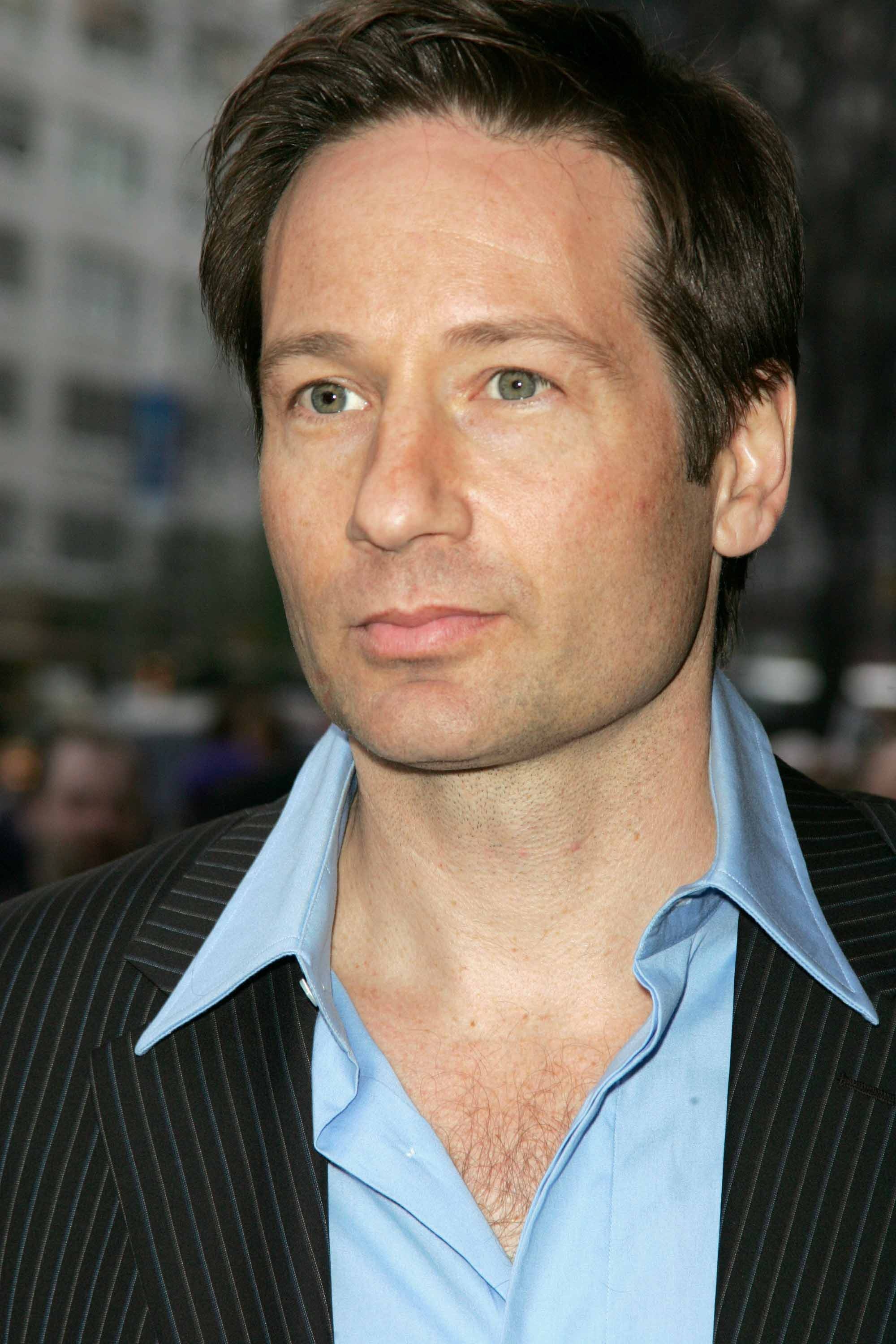 David Duchovny, Movies, Celebrity HQ, 4K, 2000x3000 HD Phone