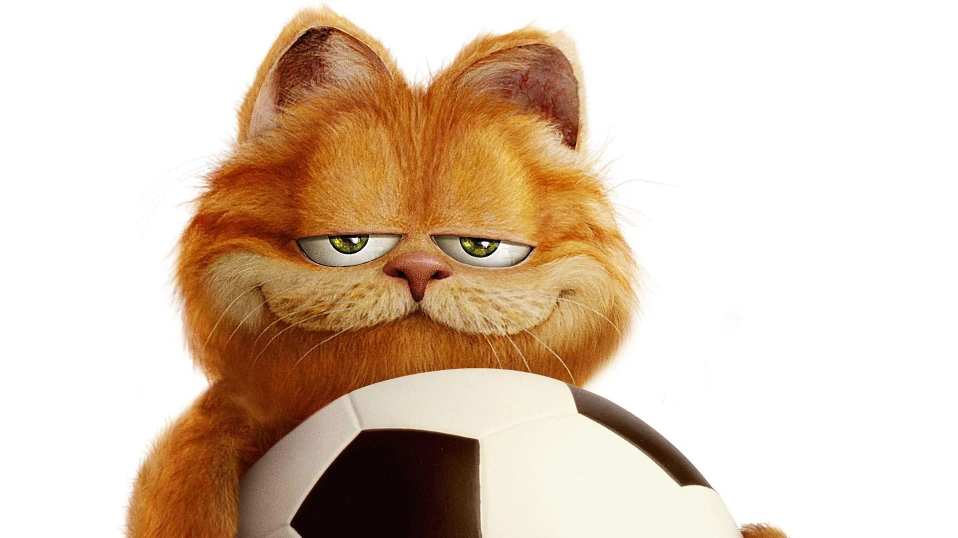 Garfield, Top Garfield HD wallpapers, Playful orange cat, 1920x1080 Full HD Desktop