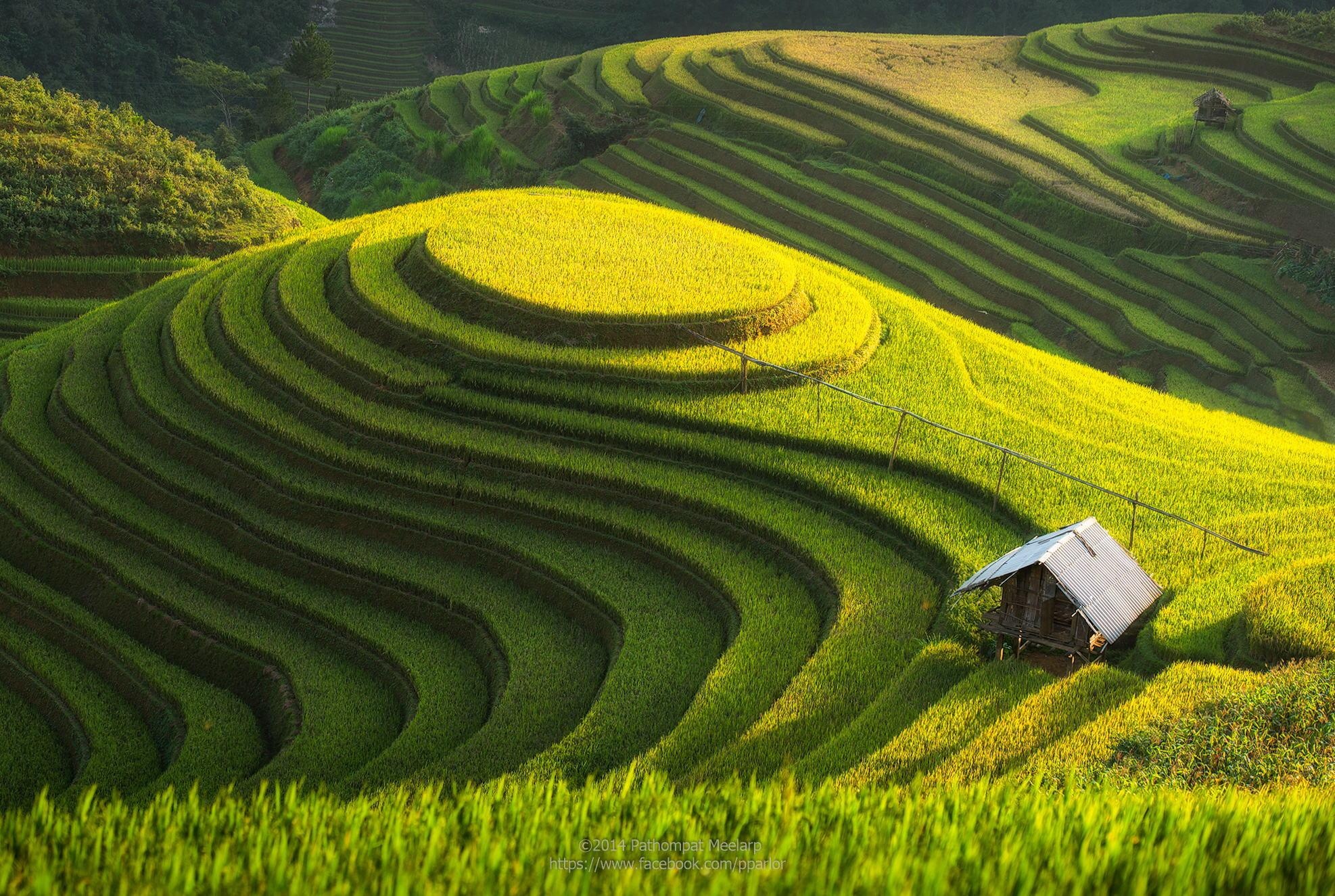 Mu Cang Chai, Green Hills Wallpaper, 1980x1330 HD Desktop