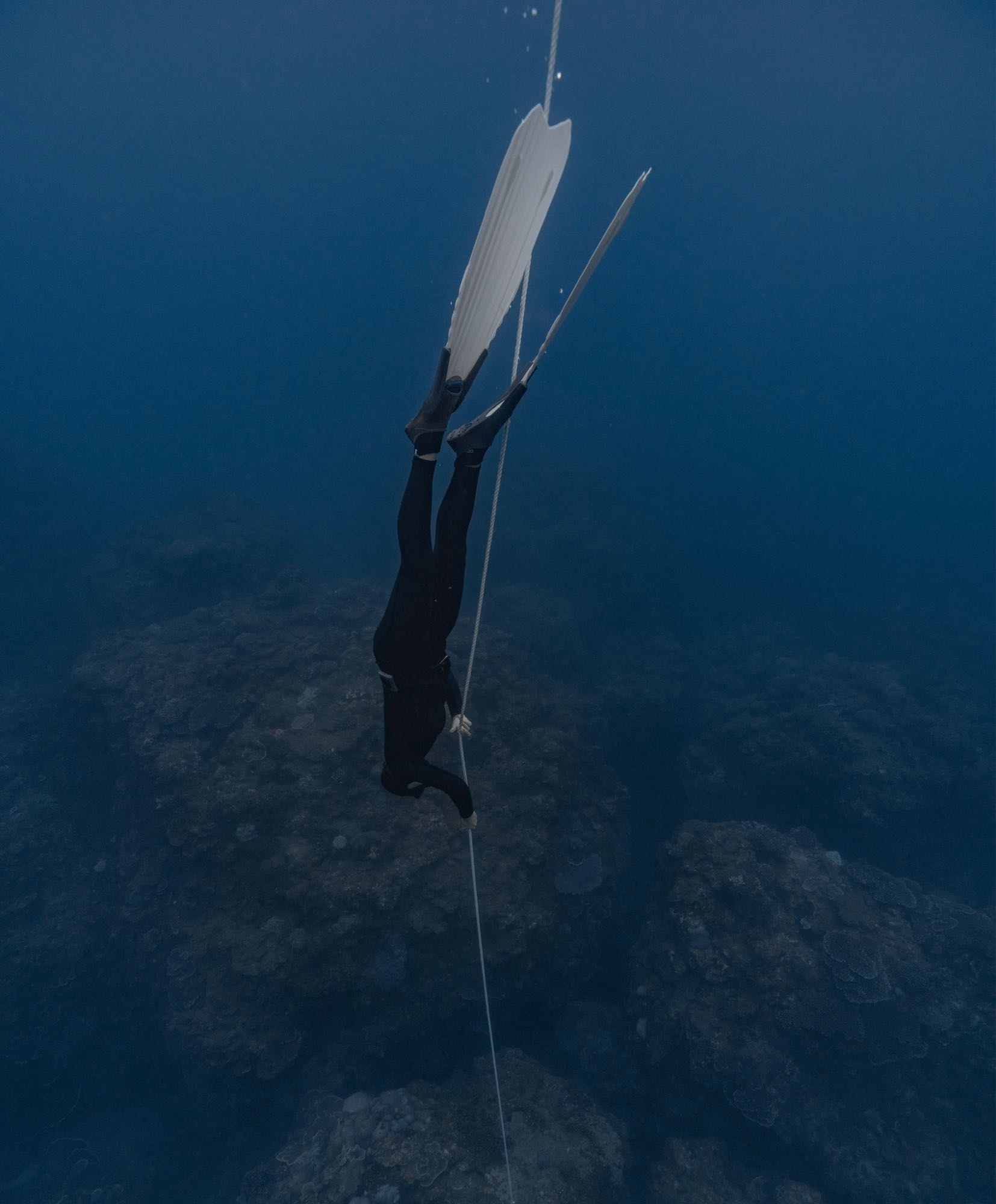 Freediving, Extreme breath-holding sport, Aquatic exploration, Deep-diving, 1660x2000 HD Phone