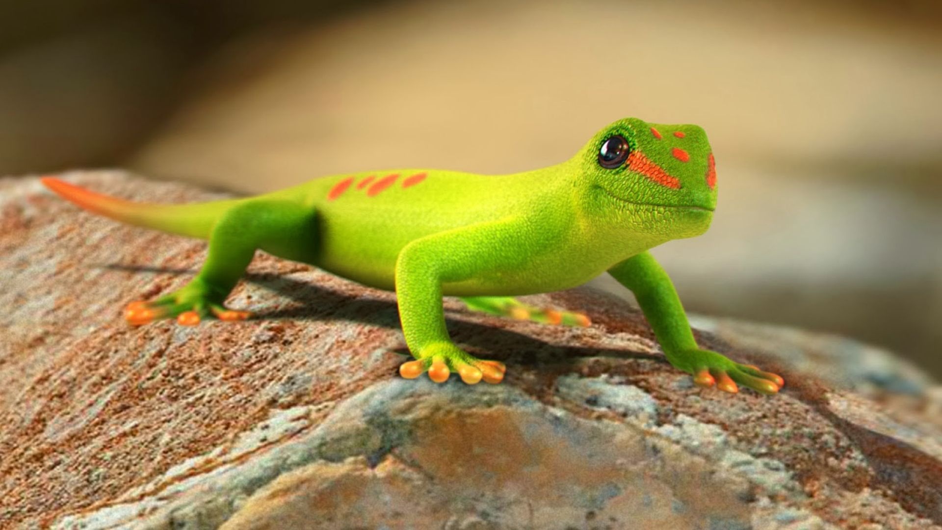 Gecko, Diverse gecko wallpapers, Stunning reptile imagery, 1920x1080 Full HD Desktop