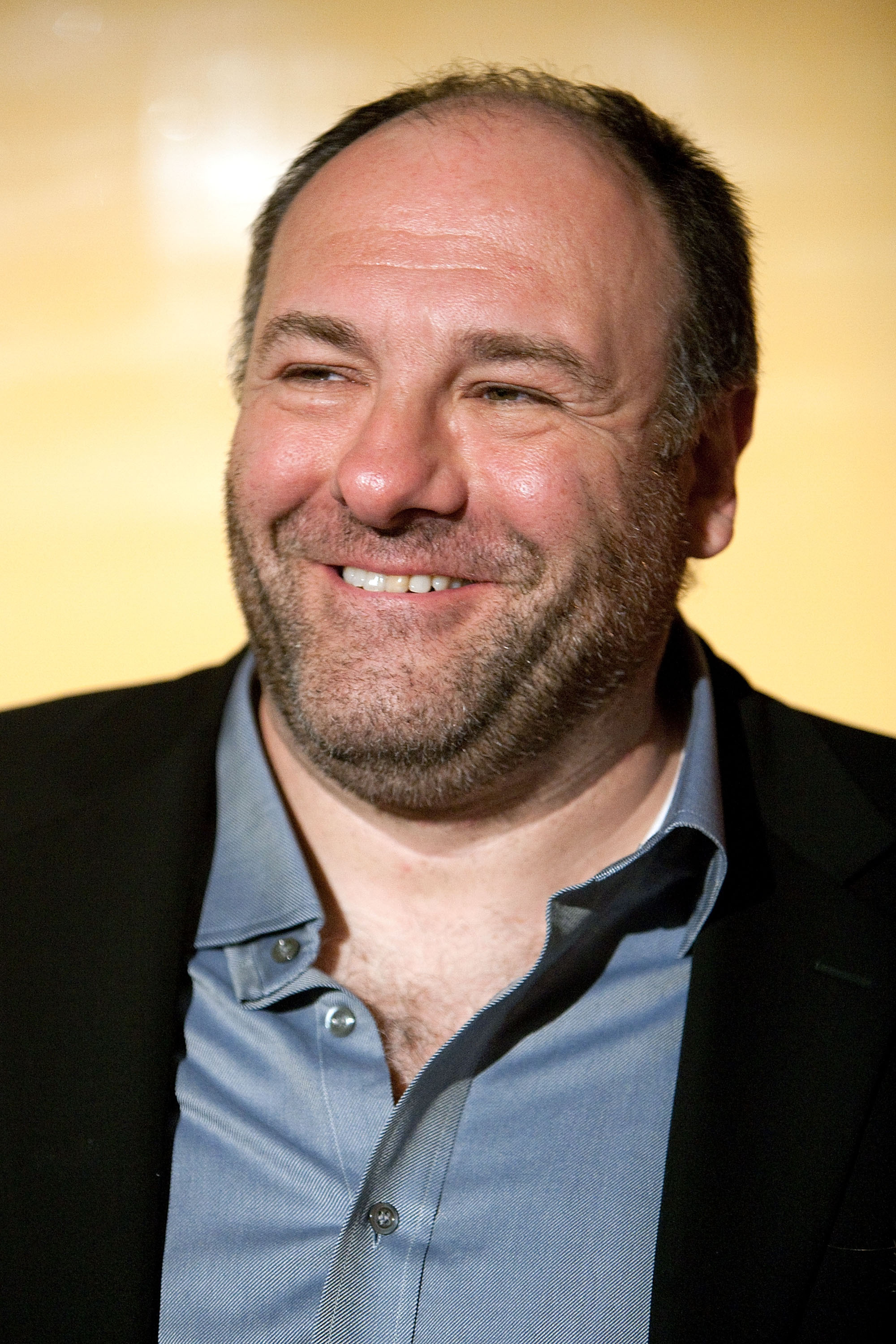 James Gandolfini, Celebrity, Images, Free, 2000x3000 HD Phone