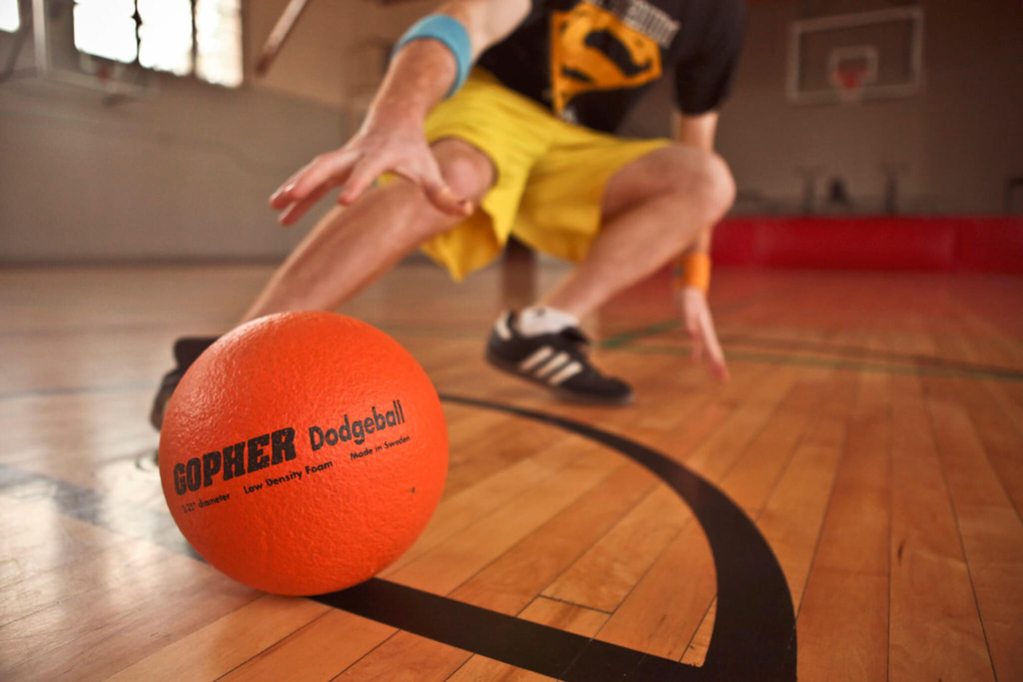 Gopher Dodgeball, Dodgeball Wallpaper, 2050x1370 HD Desktop