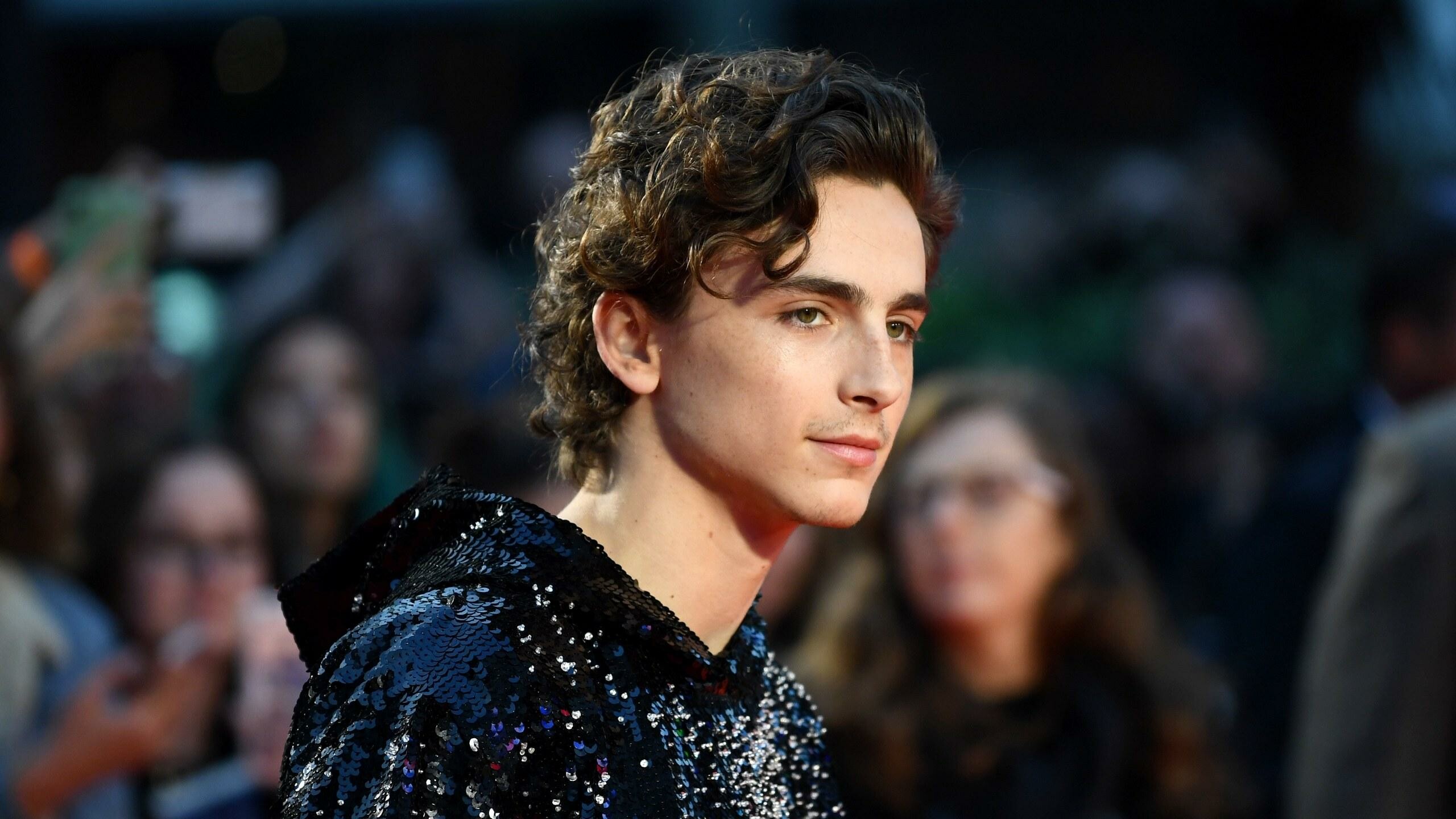 Aesthetic Timothee Chalamet wallpapers, Artistic visuals, 2560x1440 HD Desktop