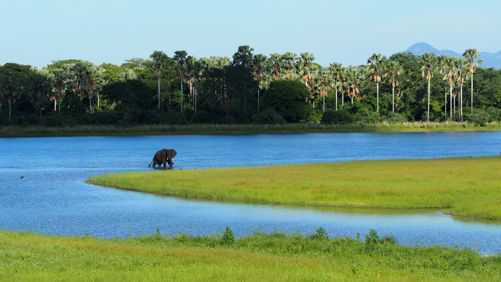 Nyika north Luangwa, Peace parks foundation, Nyika national park, Free download, 1920x1080 Full HD Desktop