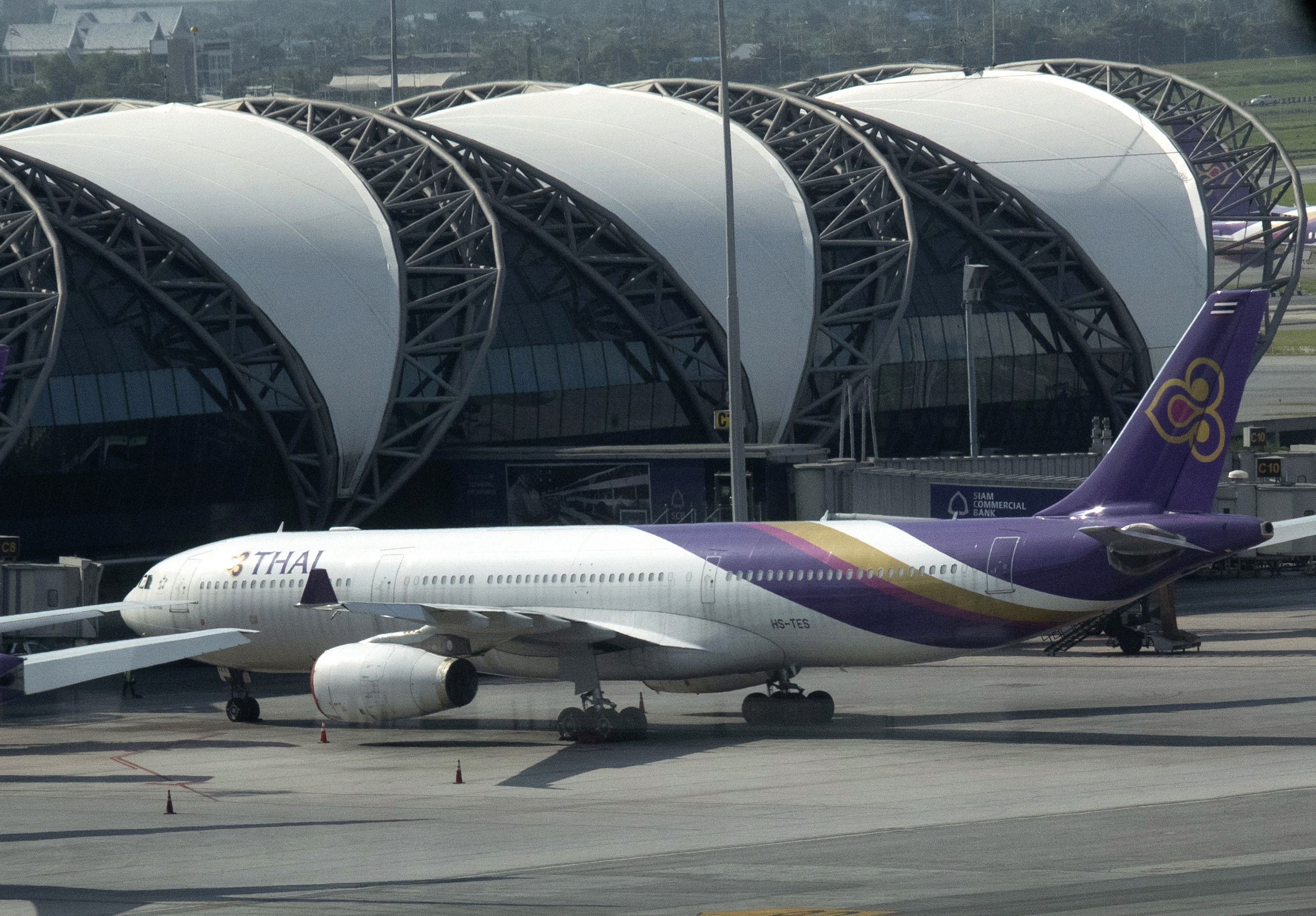 Thai Airways International, Travels, Creditors, Reorganization plan, 3000x2090 HD Desktop