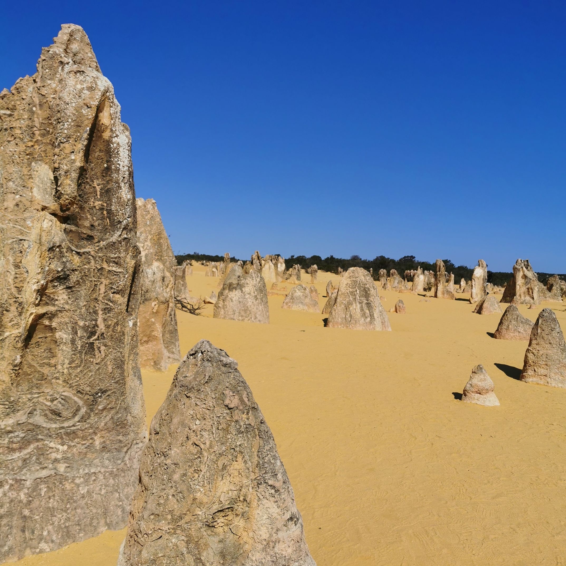 Nambung National Park, Pinnacles attraction reviews, Tickets discounts, Transportation address, 2150x2150 HD Phone