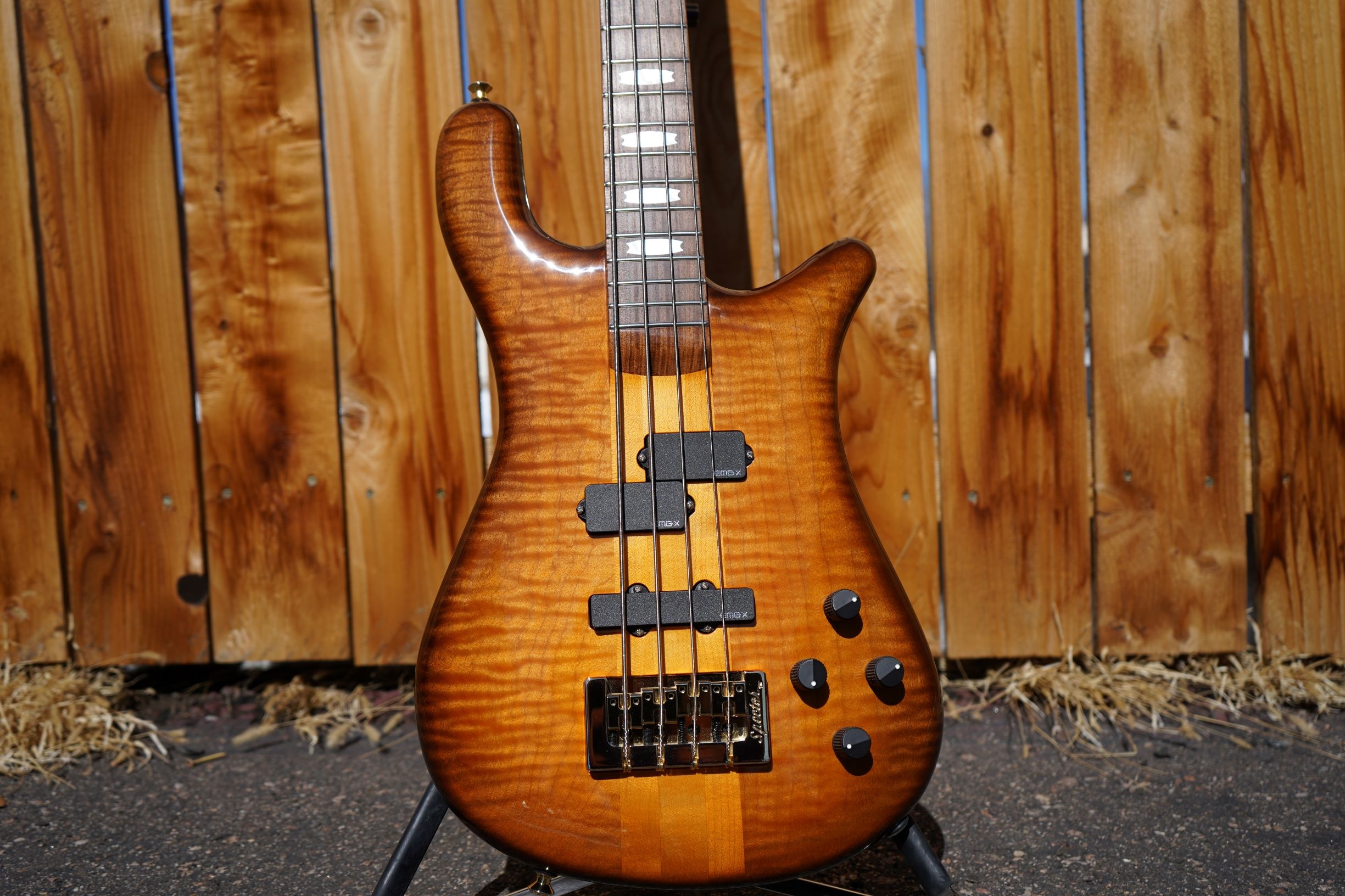 Spector USA NS-2, String Bass Guitars Wallpaper, 2450x1640 HD Desktop