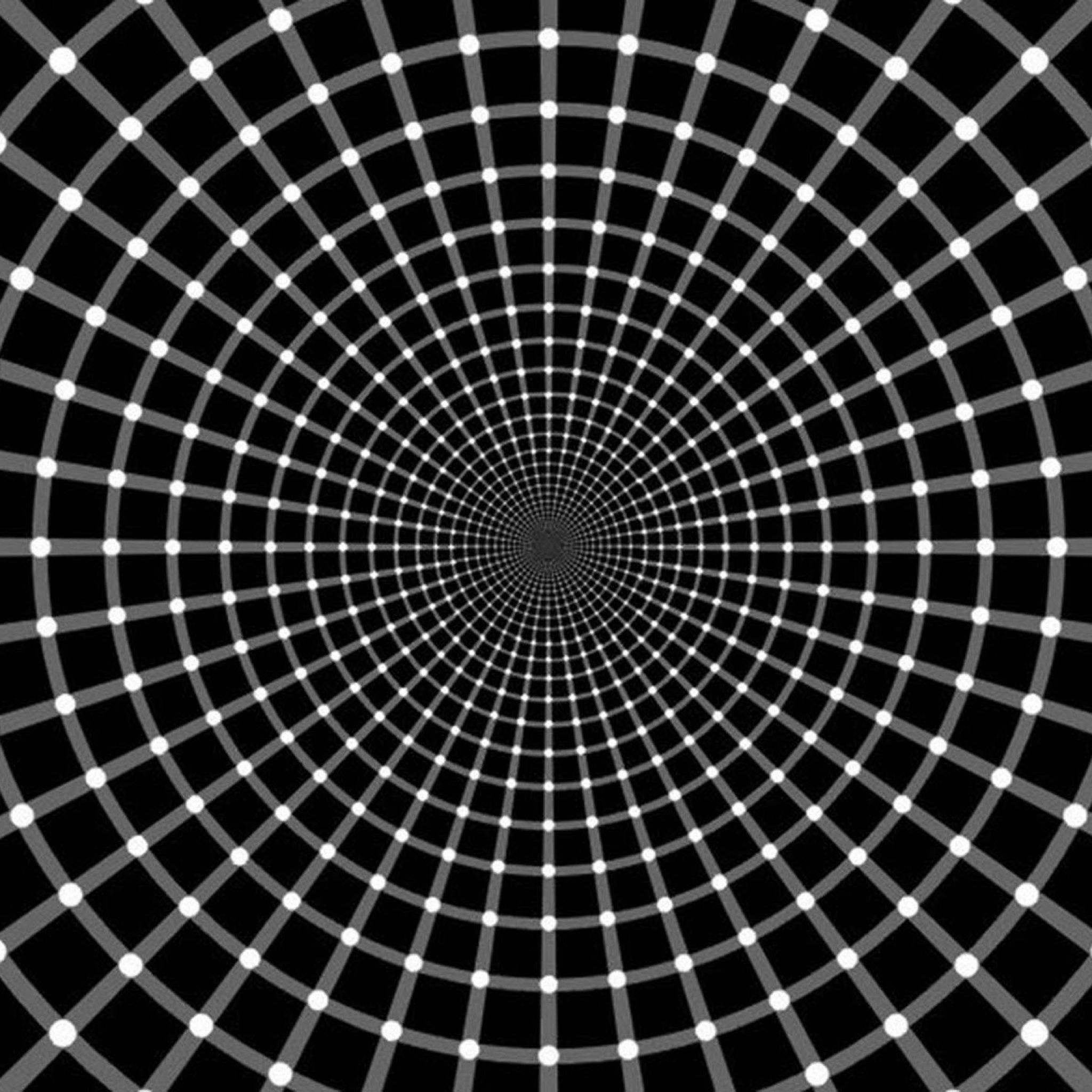 3D Circle, Optical Illusion Wallpaper, 2050x2050 HD Phone