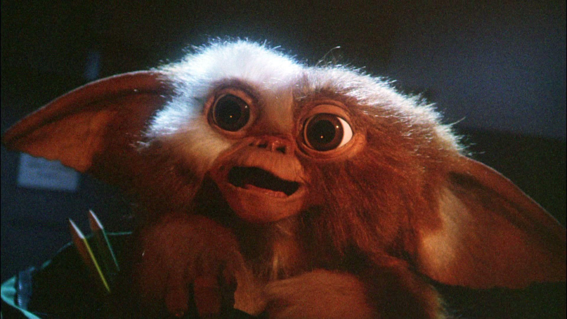 Gizmo wallpapers, Charming creature, Movie-inspired, Fan-favorite, 1920x1080 Full HD Desktop