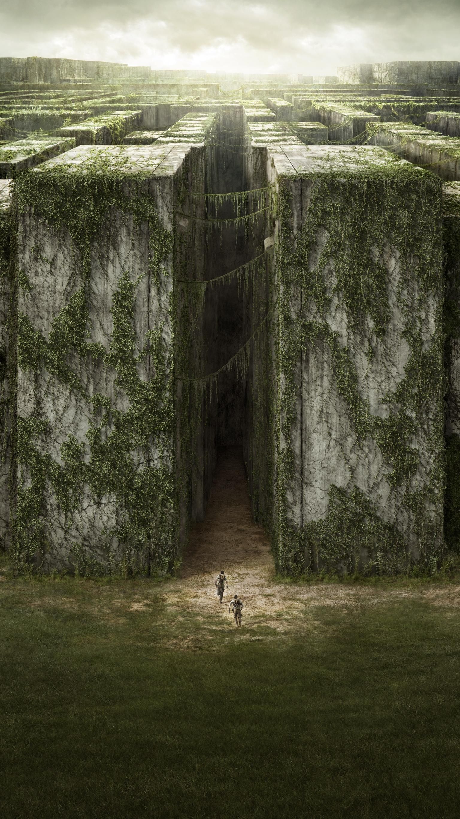 The Maze Runner, 2014 movie wallpaper, Moviemania collection, Maze Runner series, 1540x2740 HD Phone