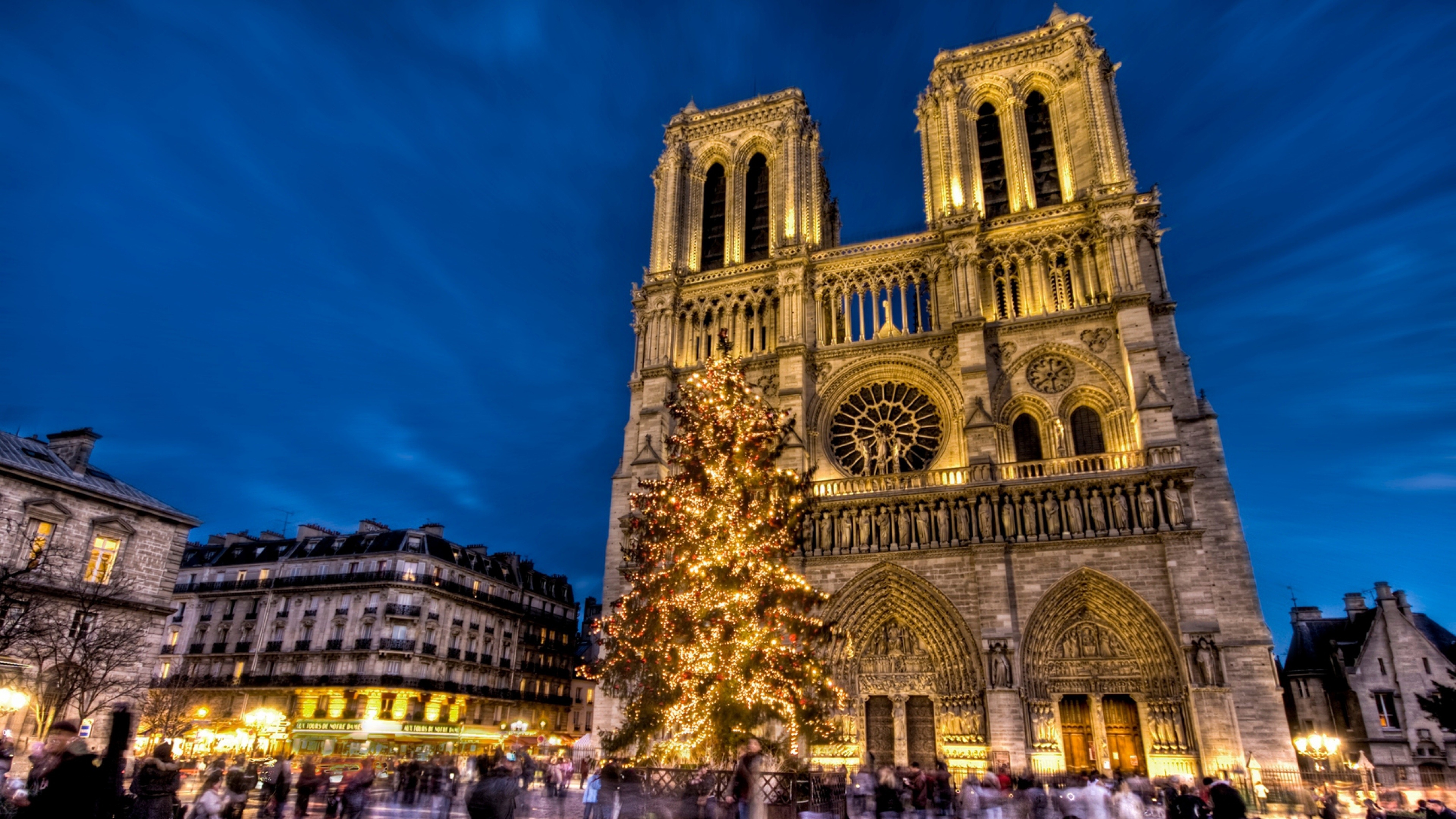 Christmas tree, Notre-Dame Cathedral Wallpaper, 3840x2160 4K Desktop