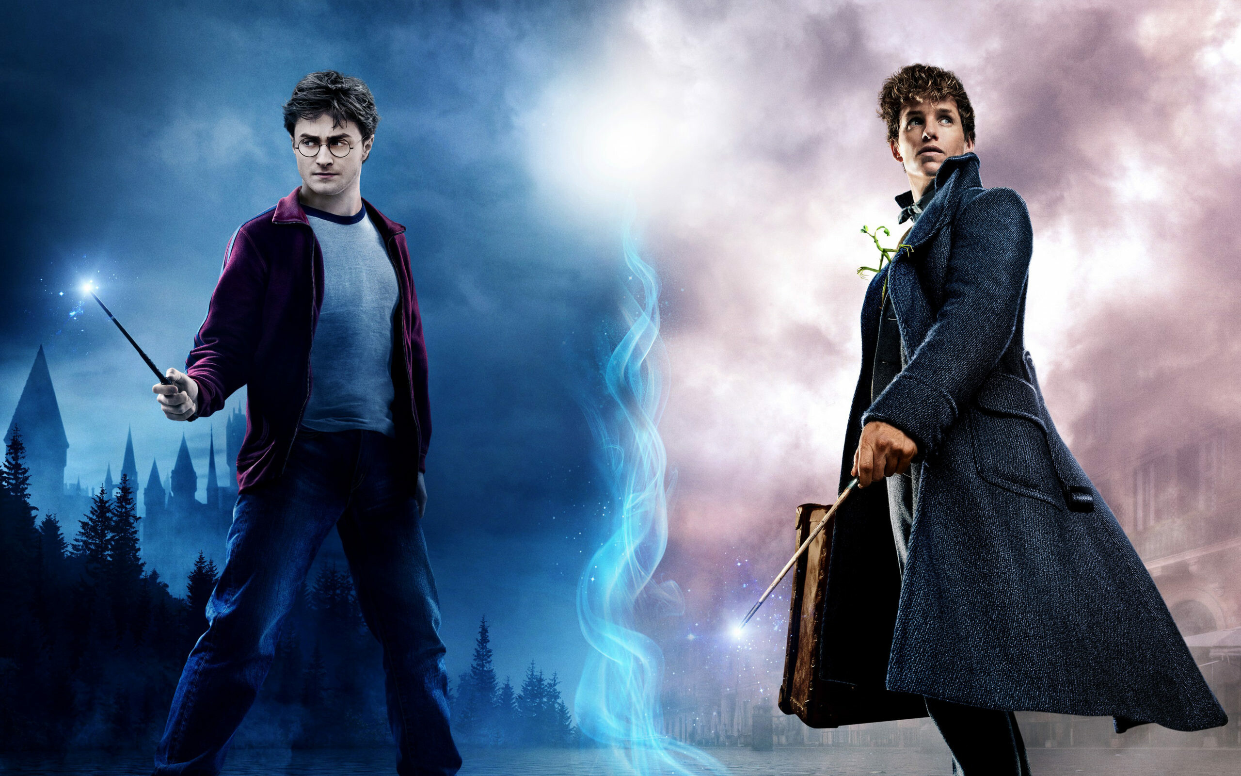 Fantastic Beasts and Where to Find Them, Harry Potter Wallpaper, 2560x1600 HD Desktop