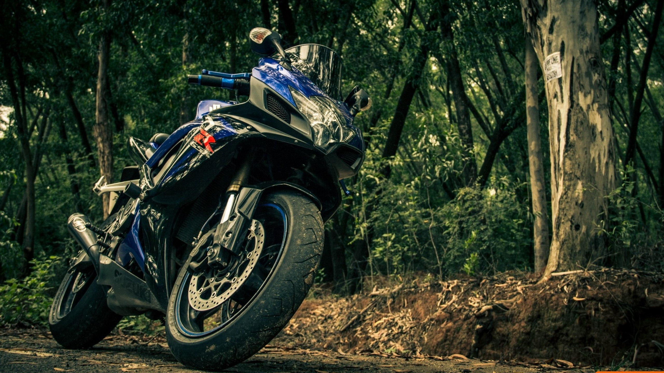 Forest, Suzuki GSX-R1000 Wallpaper, 2560x1440 HD Desktop