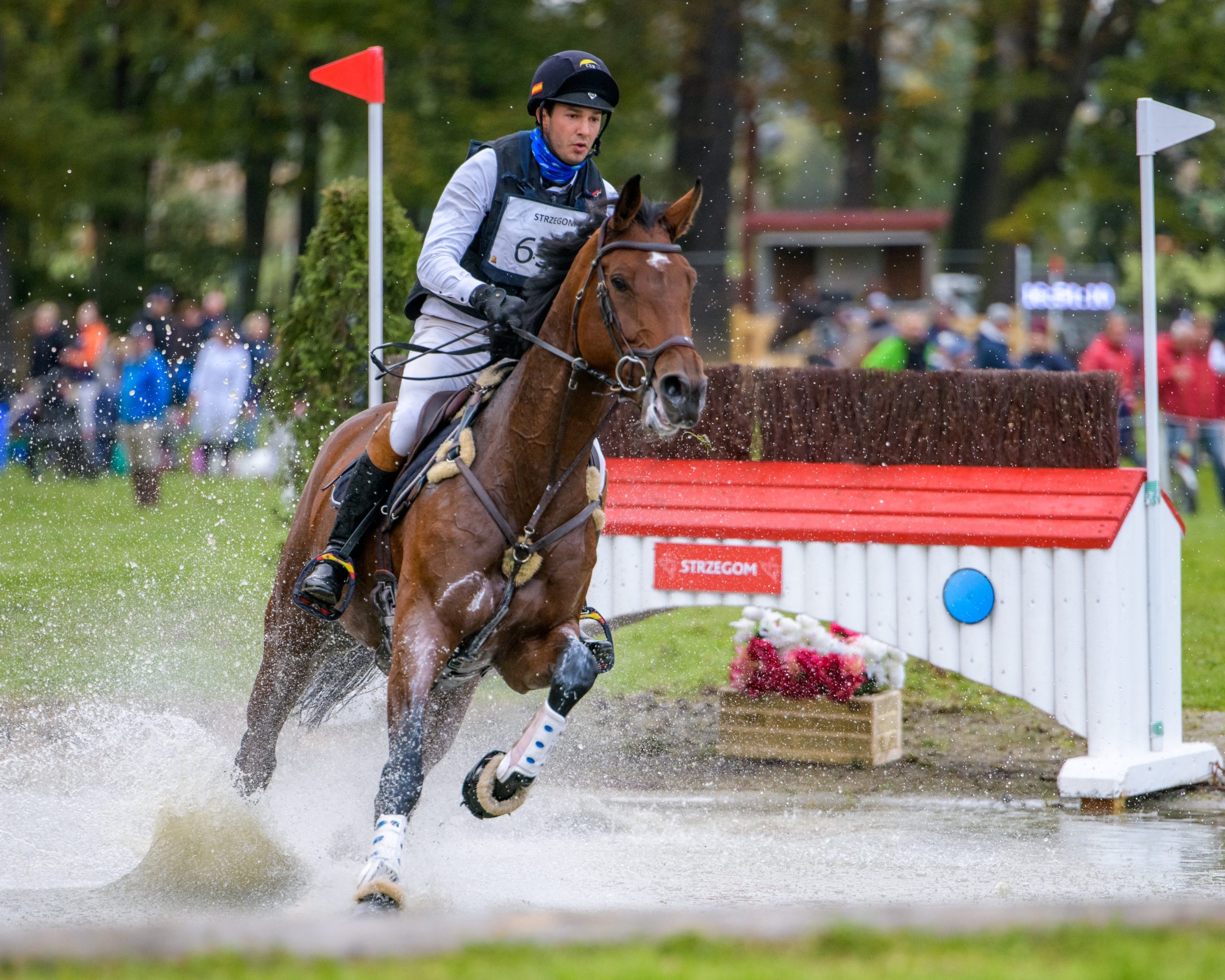 Vielseitigkeitssaison start, Strzegom eventing, Equine challenge, Exciting season, 2560x2050 HD Desktop