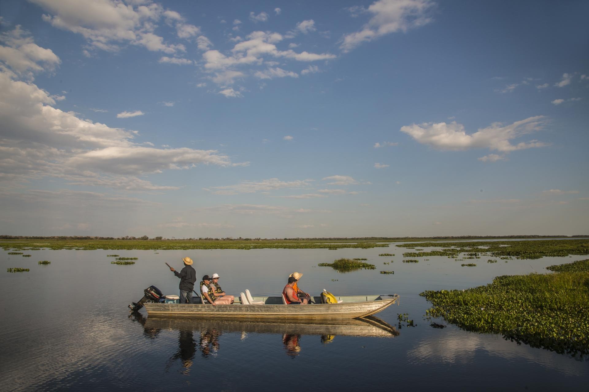 Pantanal Matogrossense, Travels, reisetipps u0026 highlights, mato grosso, 1920x1280 HD Desktop