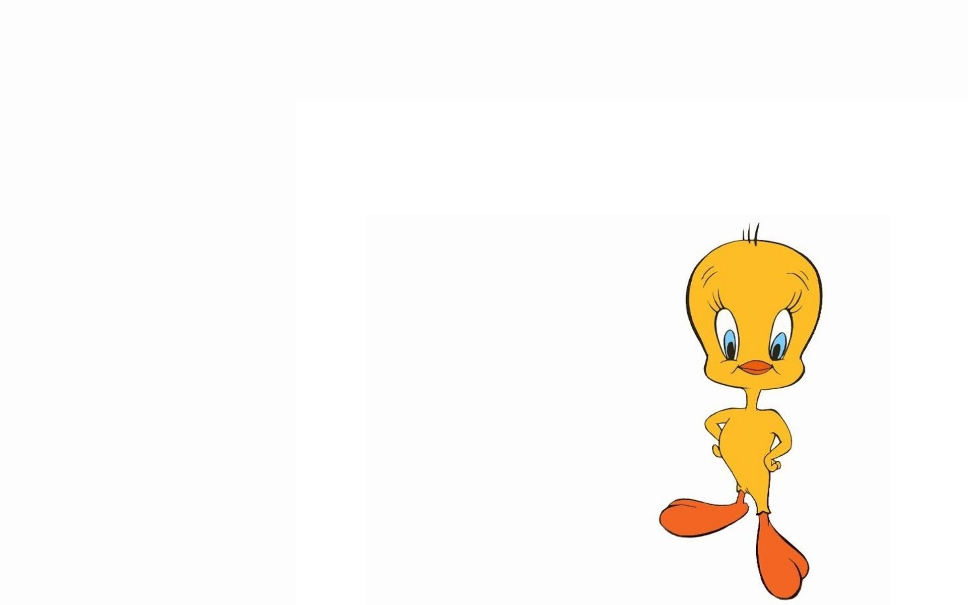 Looney Tunes Tweety Bird, 48 Wallpaper, 1920x1200 HD Desktop