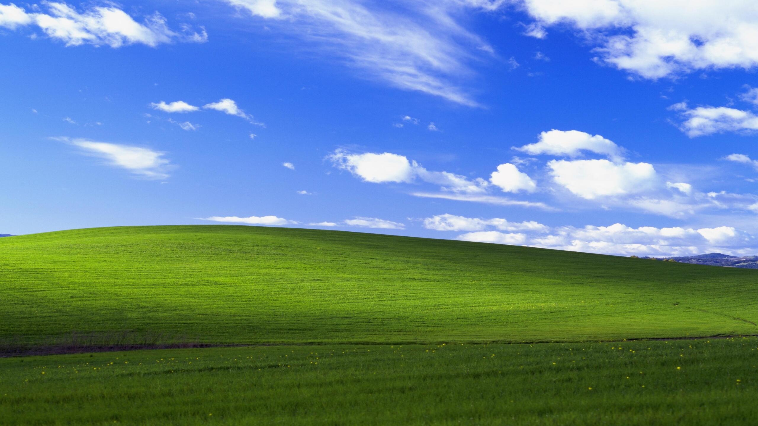 Windows XP bliss, 1440p resolution, HD wallpaper, Tranquil landscapes, 2560x1440 HD Desktop