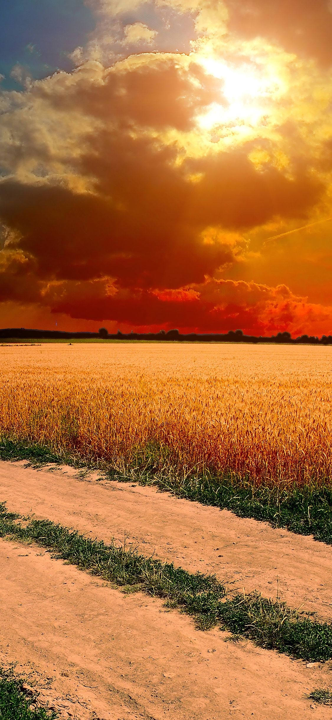 Hot sunny day, Country farm landscape, Clouds wallpaper, iPhone X, 1130x2440 HD Phone