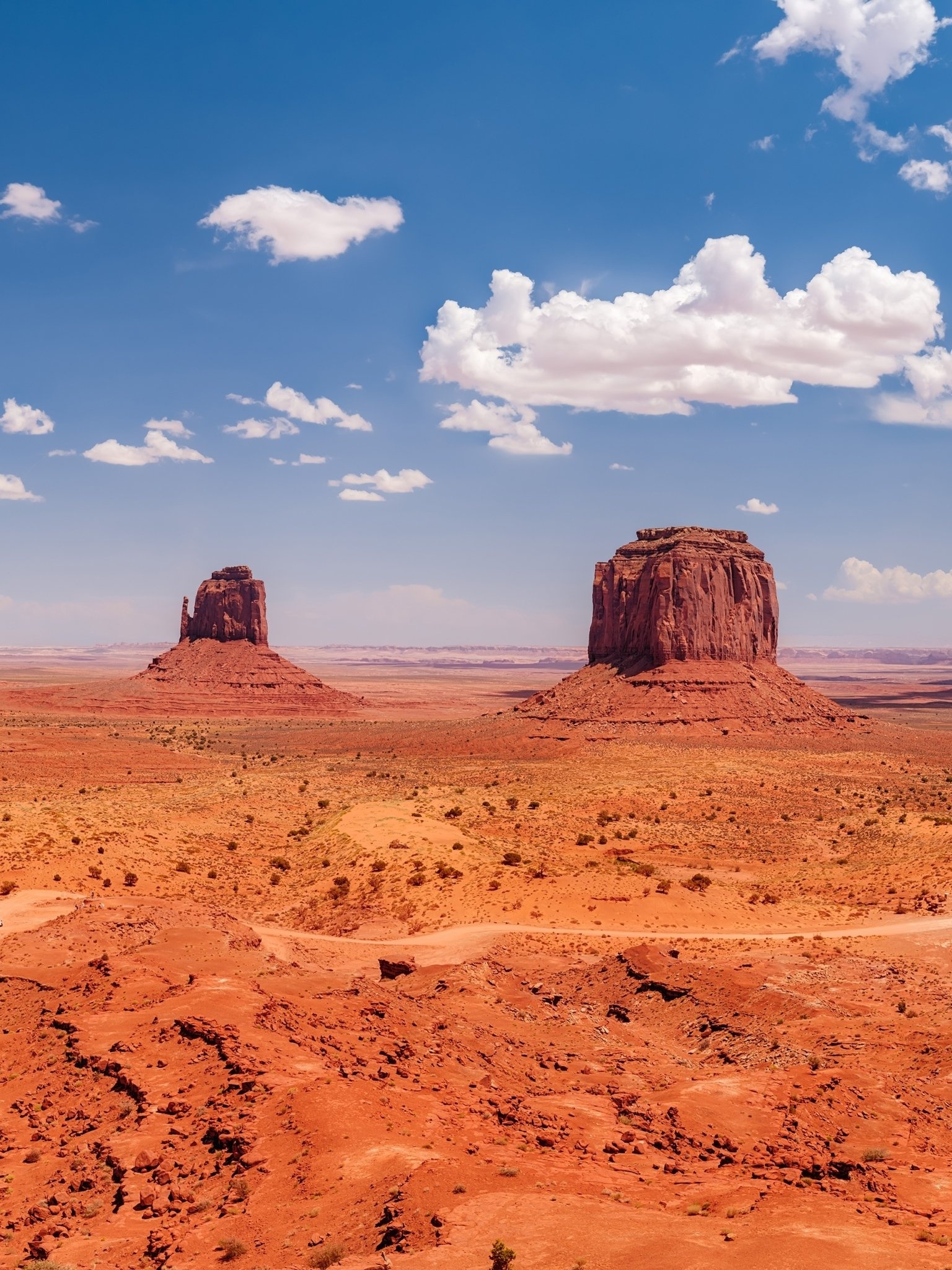 Earth's Monument Valley, Natural wonder, Breathtaking landscapes, Desert beauty, 1540x2050 HD Phone